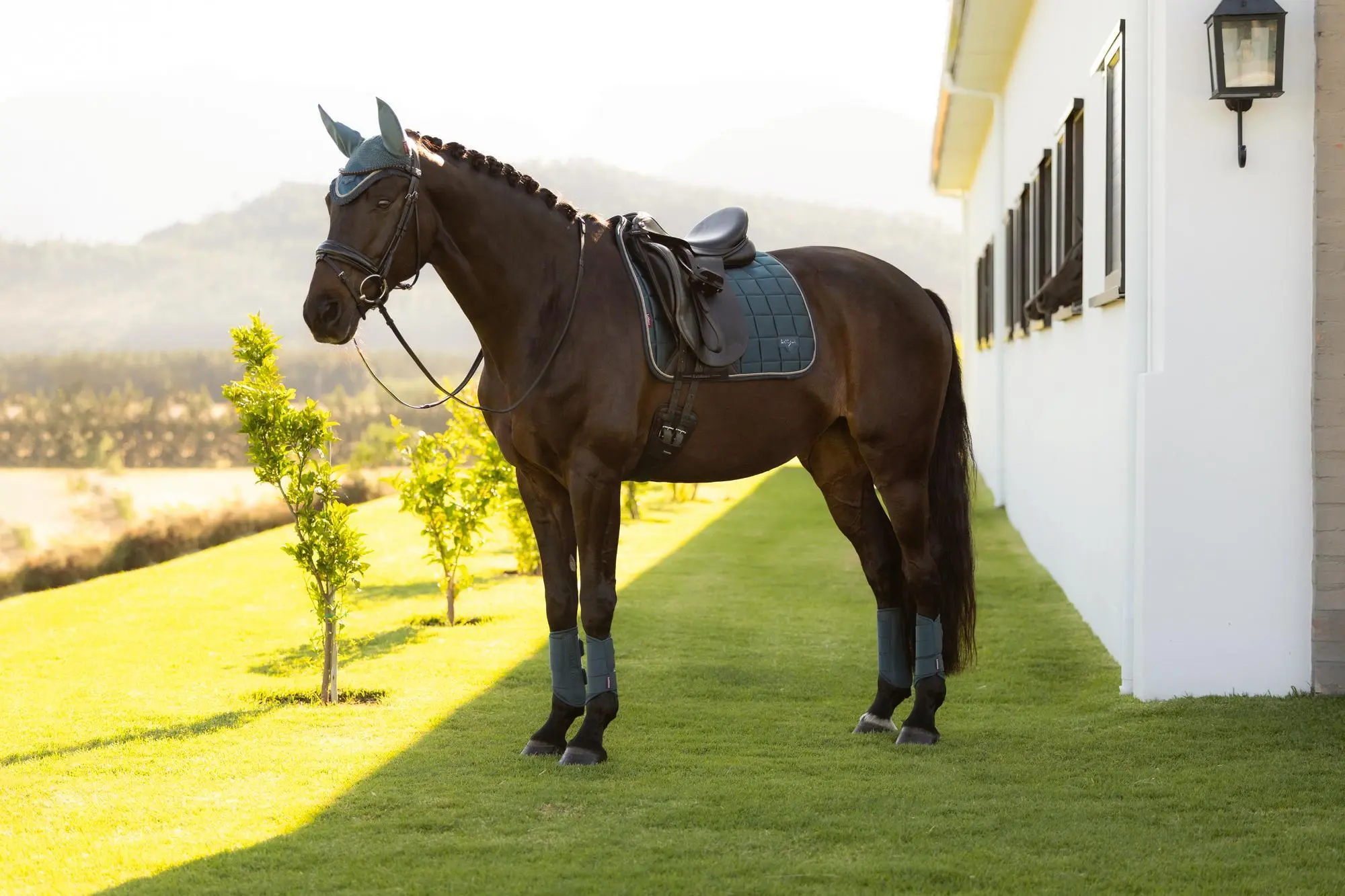 LeMieux Loire Classic Dressage Square Jungle - Image 5