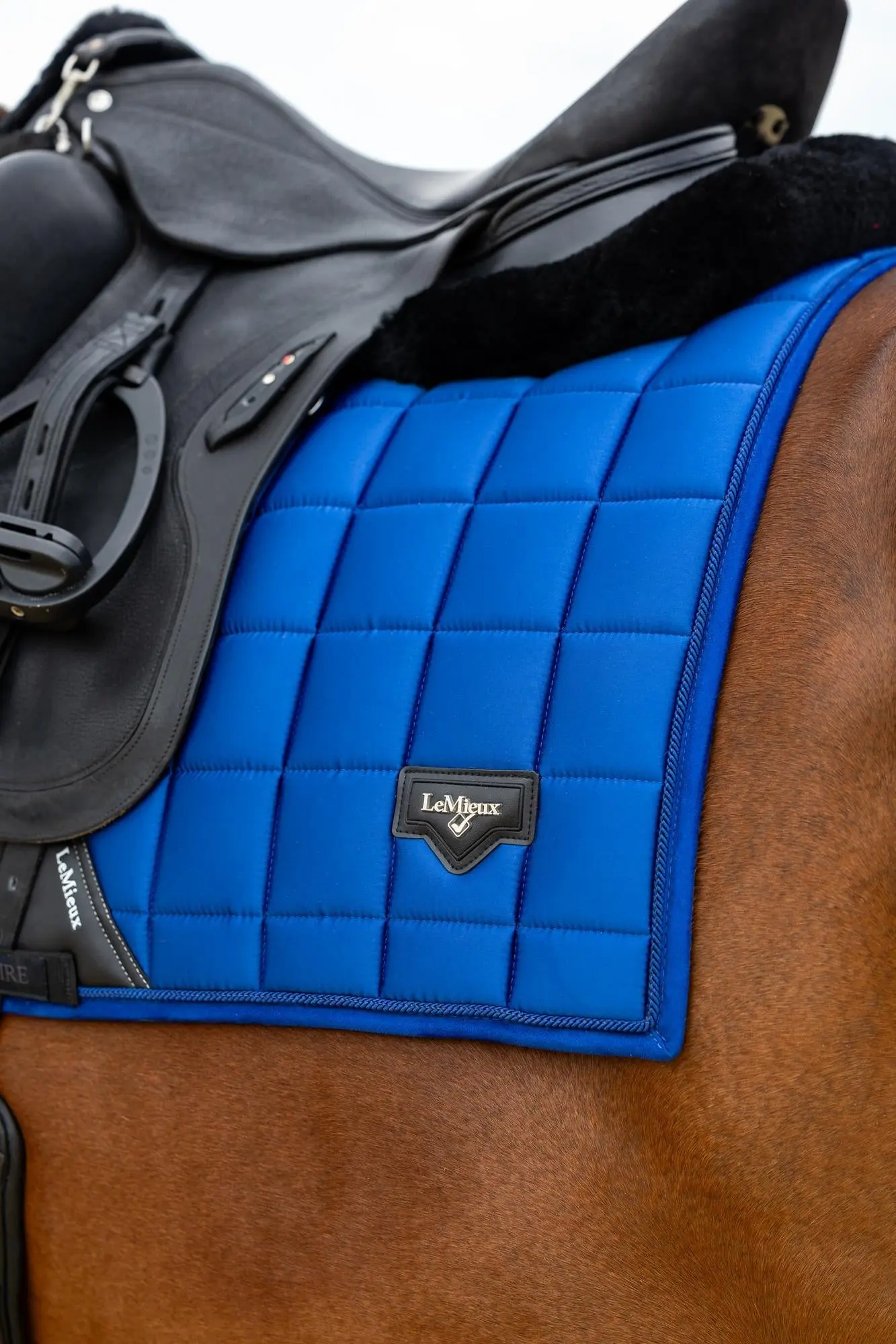LeMieux Loire Dressage Square Benetton - Image 3