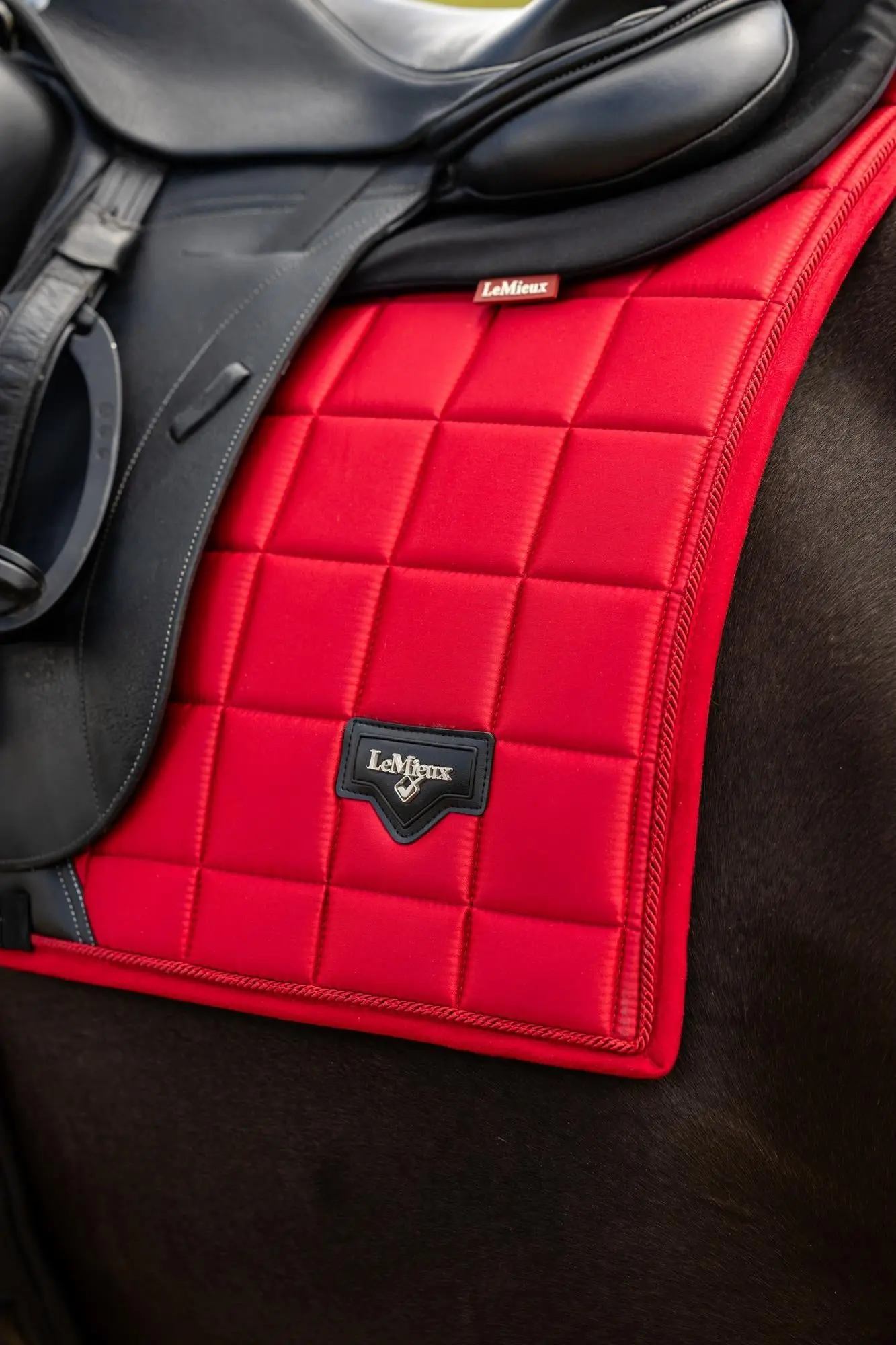 LeMieux Loire Dressage Square Chilli - Image 3