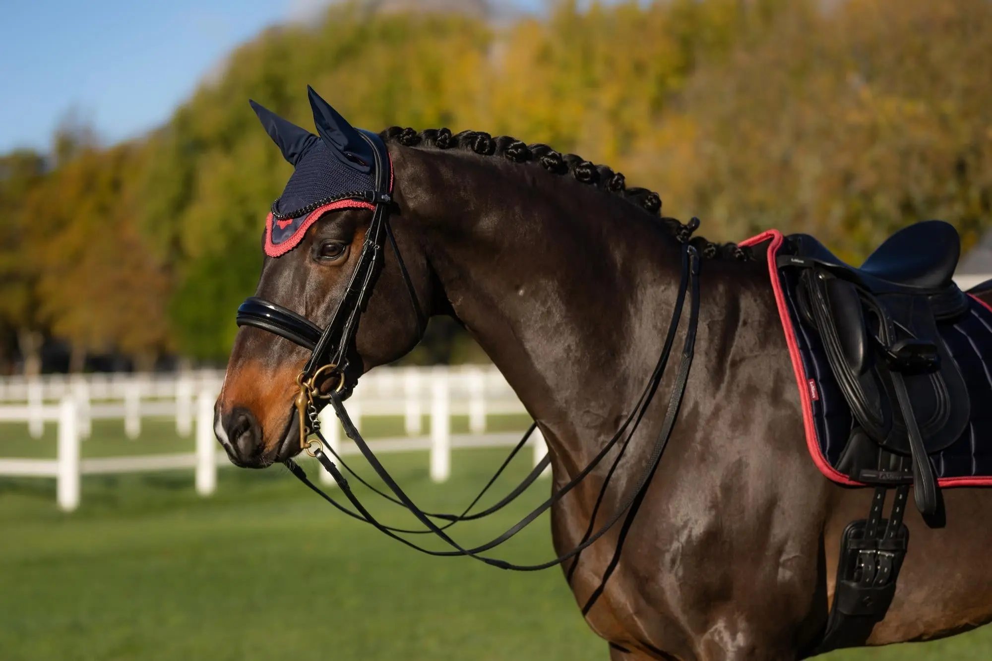 LeMieux Loire Fly Hood Navy/Cranberry - Image 3