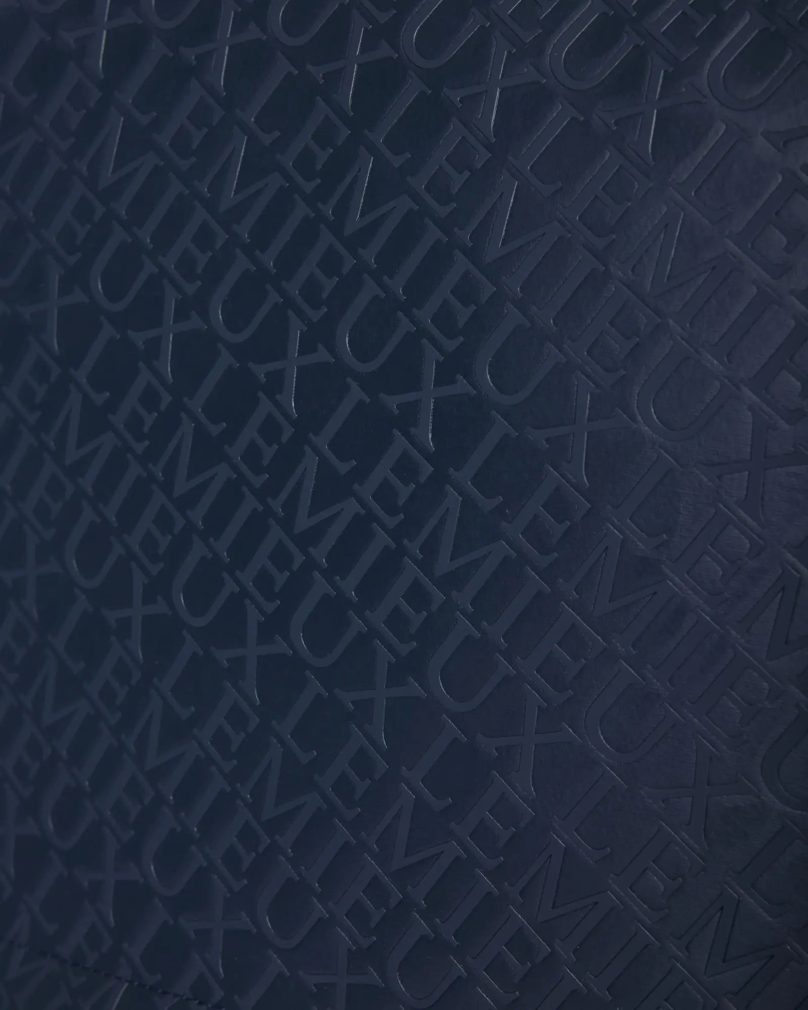 LeMieux Luxe Boot Bag Navy - Image 7