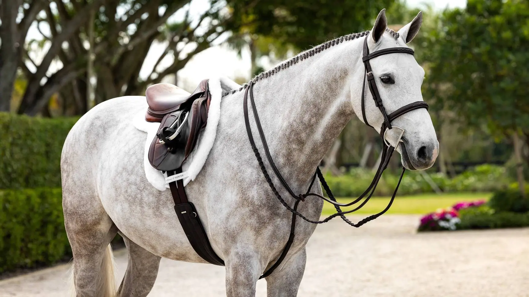 LeMieux Merino+ ProSorb Hunter Saddle Pad White/White - Image 3