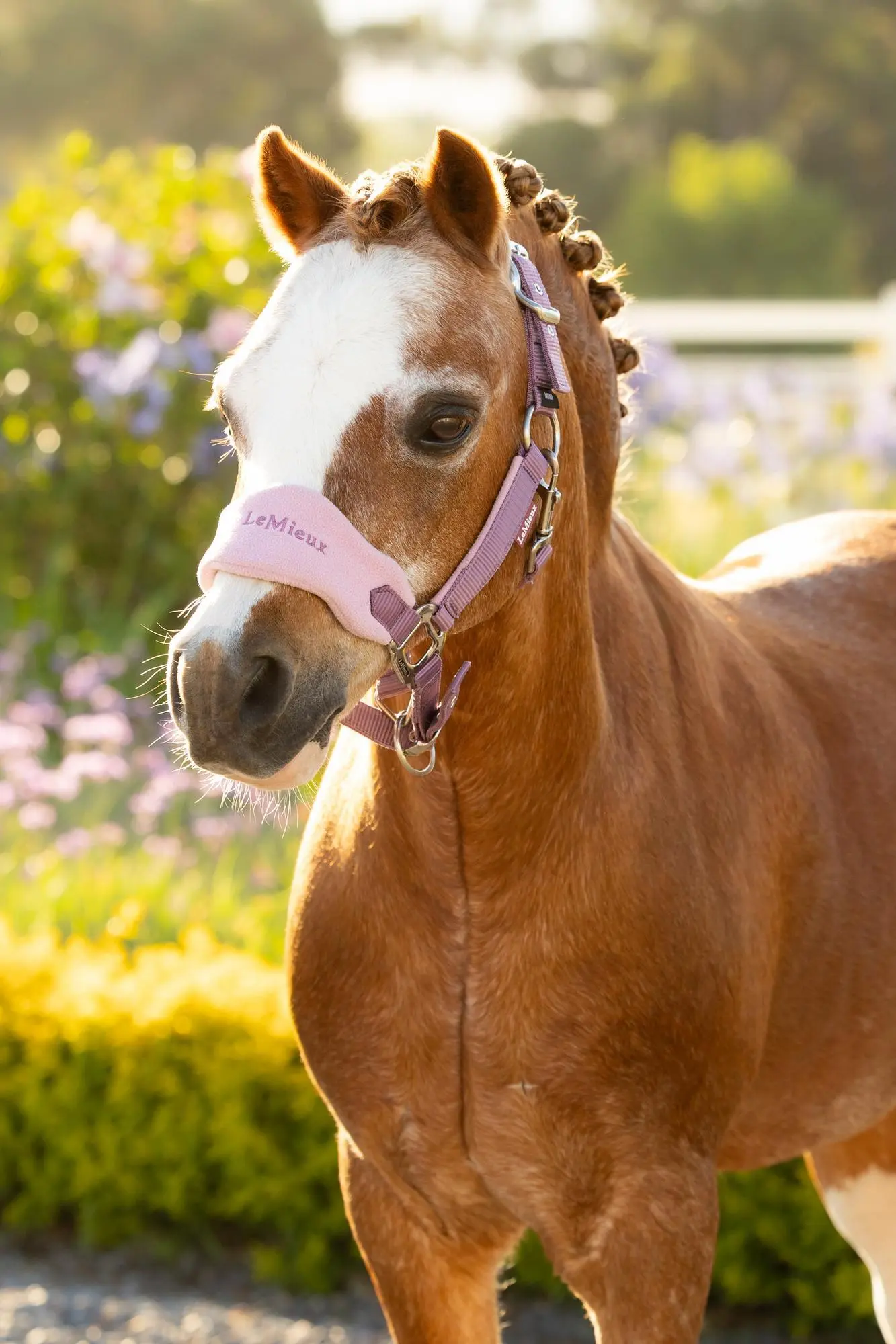 LeMieux Mini Vogue Headcollar & Leadrope Mallow