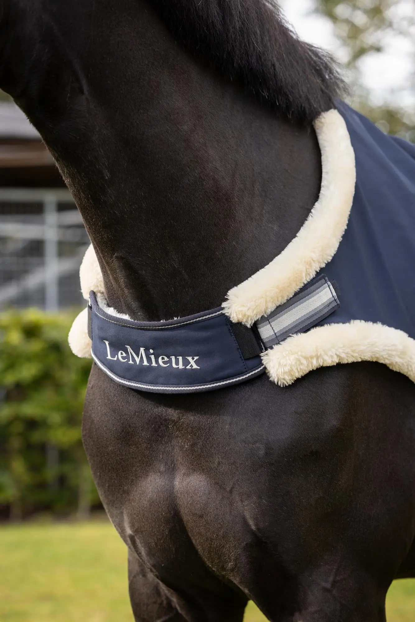 LeMieux Navy Horse Walker Rug - Image 4