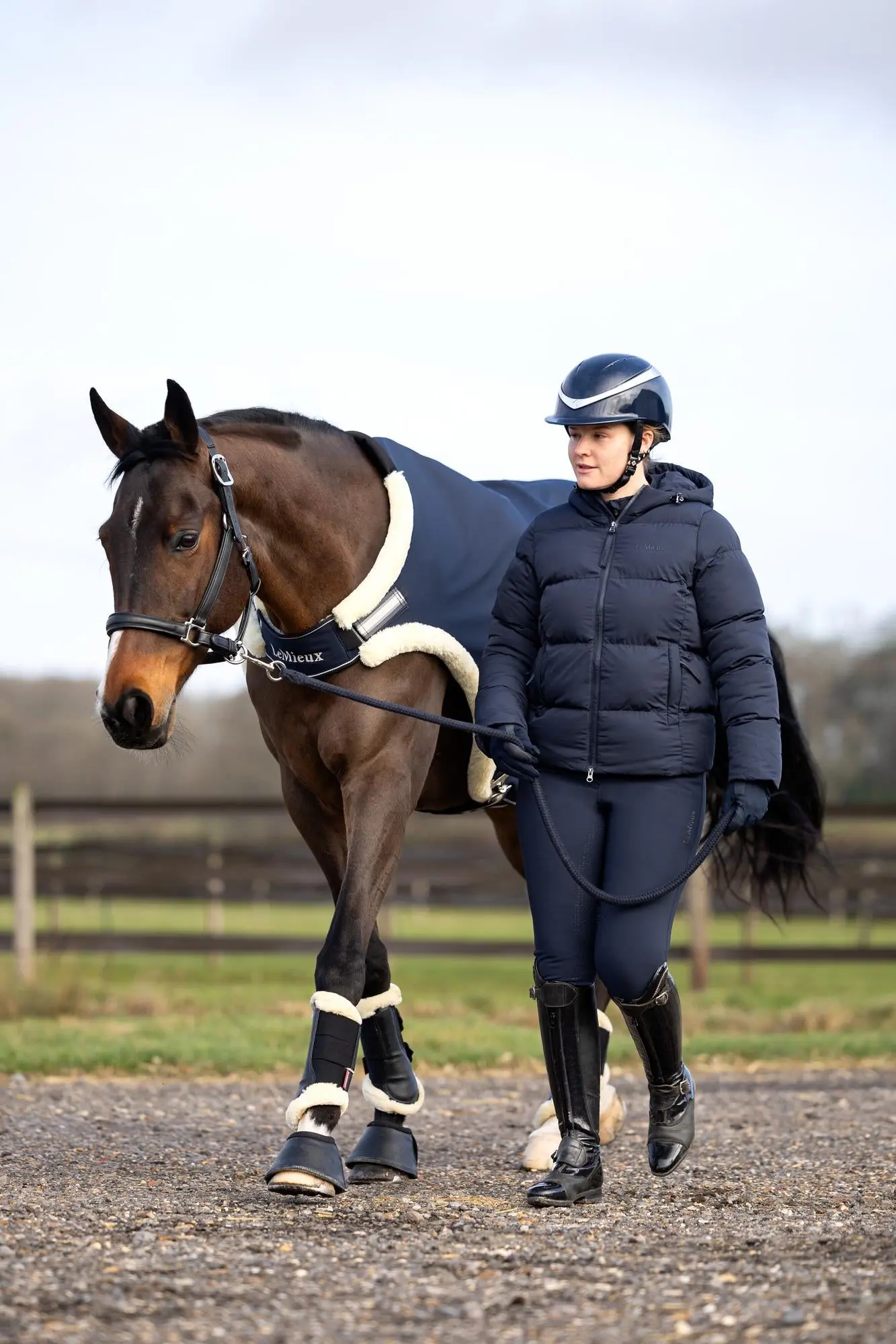 LeMieux Navy Horse Walker Rug - Image 7