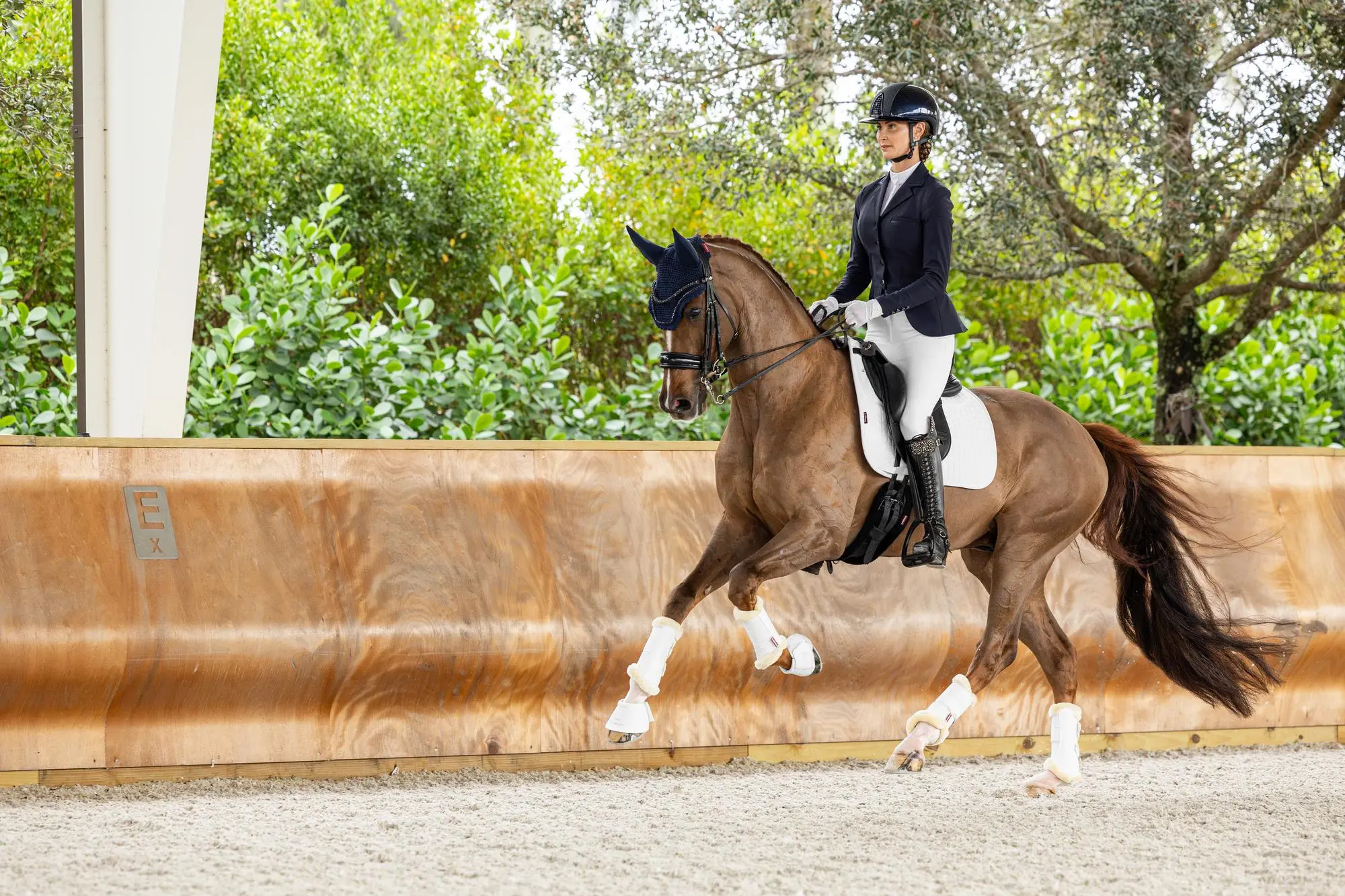 LeMieux Navy Zoe Show Jacket - Image 3