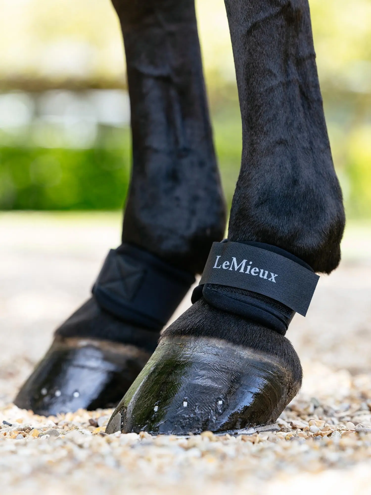 LeMieux Neoprene Pastern Wrap Black