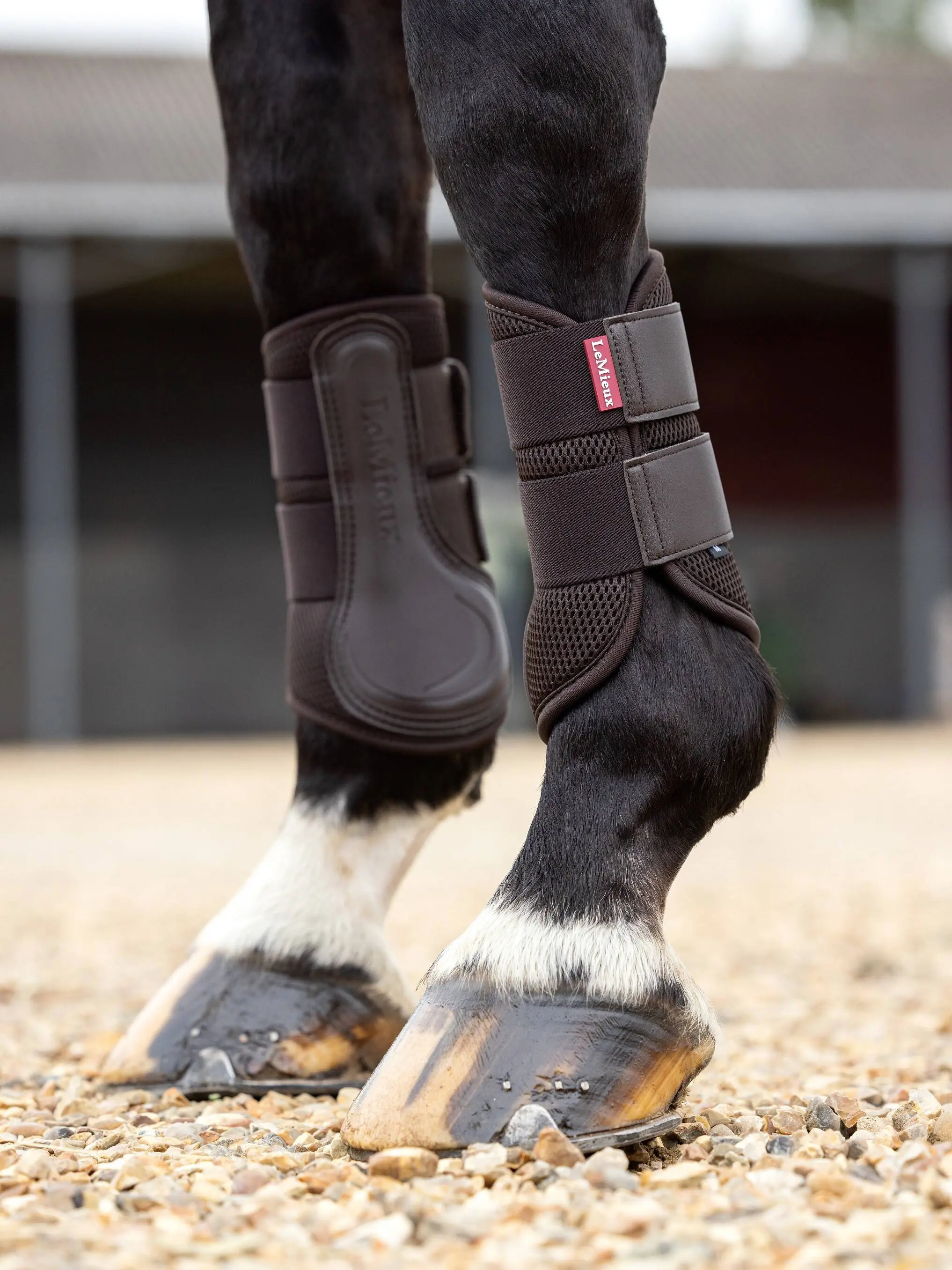 LeMieux ProSport Brown Mesh Brushing Boots