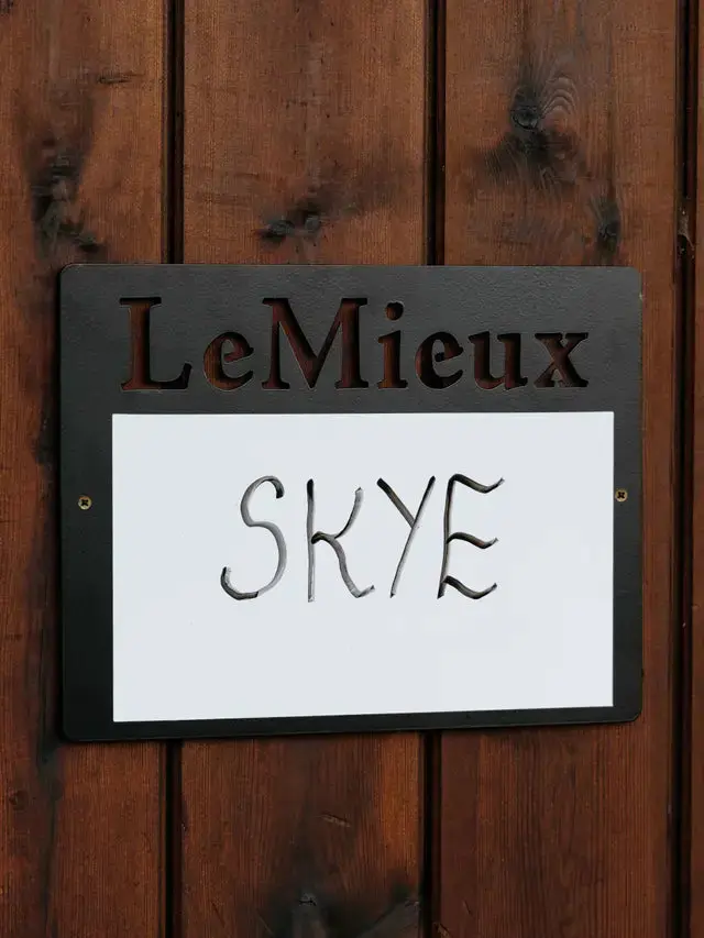 LeMieux Stable Magnetic Whiteboard Black - Image 2