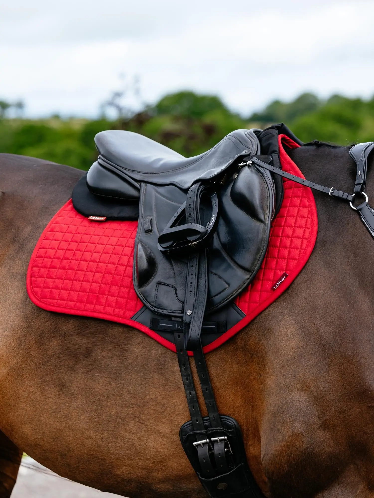 LeMieux Suede Close Contact Square Chilli - Image 3