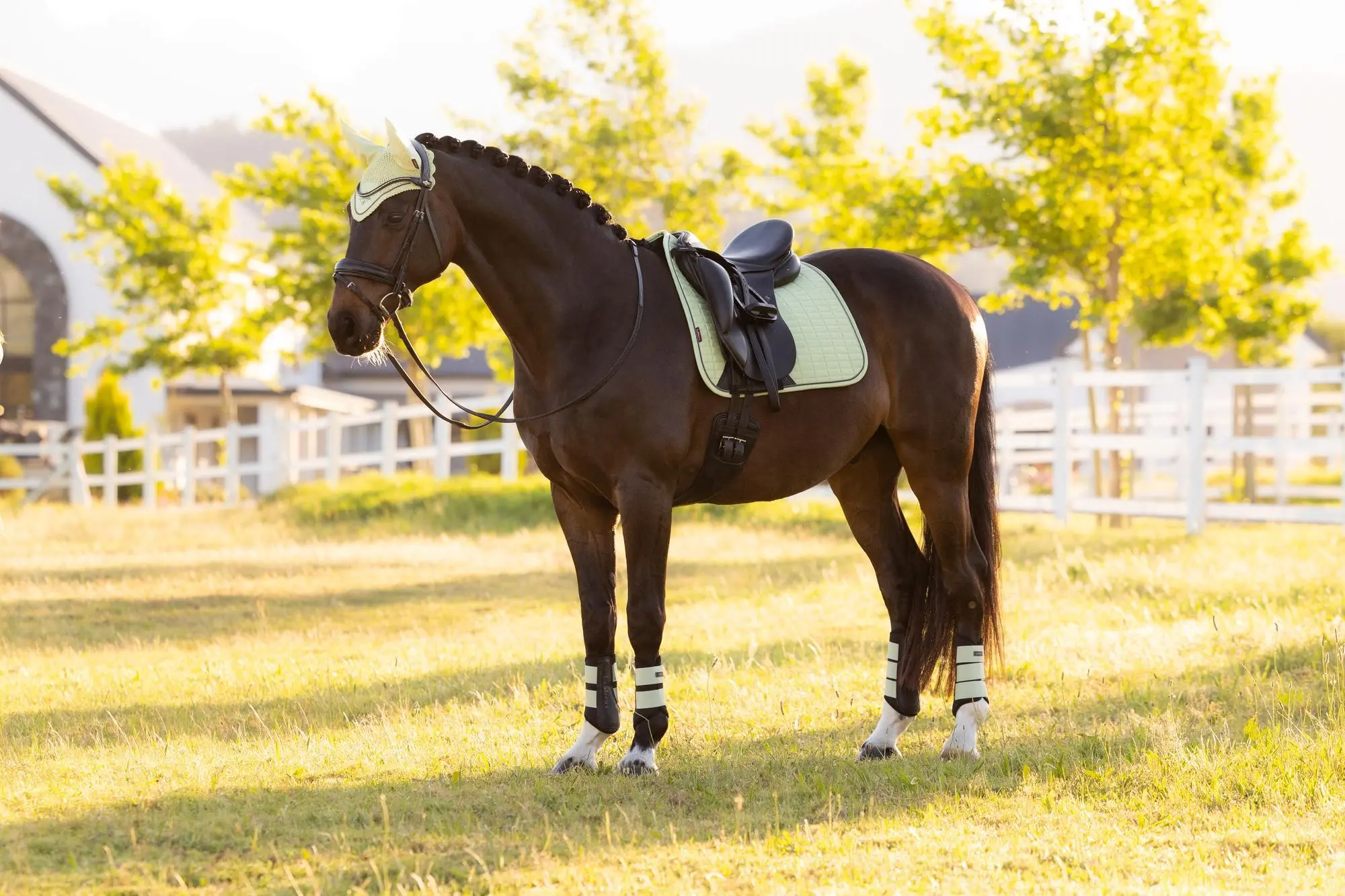 LeMieux Suede Dressage Square Macaron - Image 2
