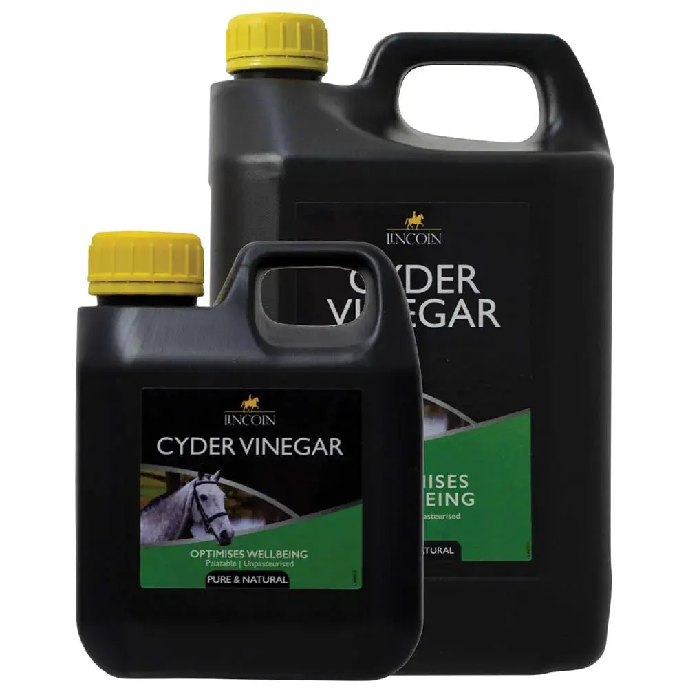Lincoln Cyder Vinegar - Image 3