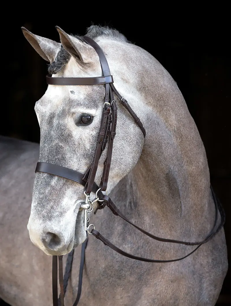 Mackey Classic Double Bridle - Image 2