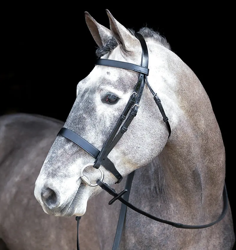 Mackey Classic Hunt Bridle - Image 6