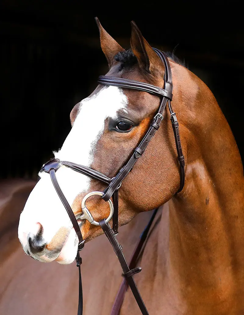 Mackey Classic Padded Grackle Bridle