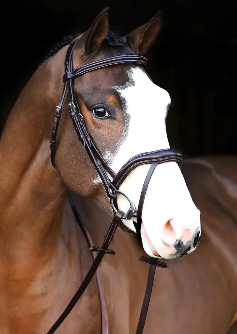 Mackey Legend Athena Bridle - Image 4