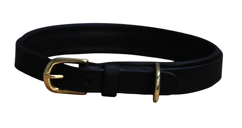 Mackey Padded Leather Dog Collar - Image 4