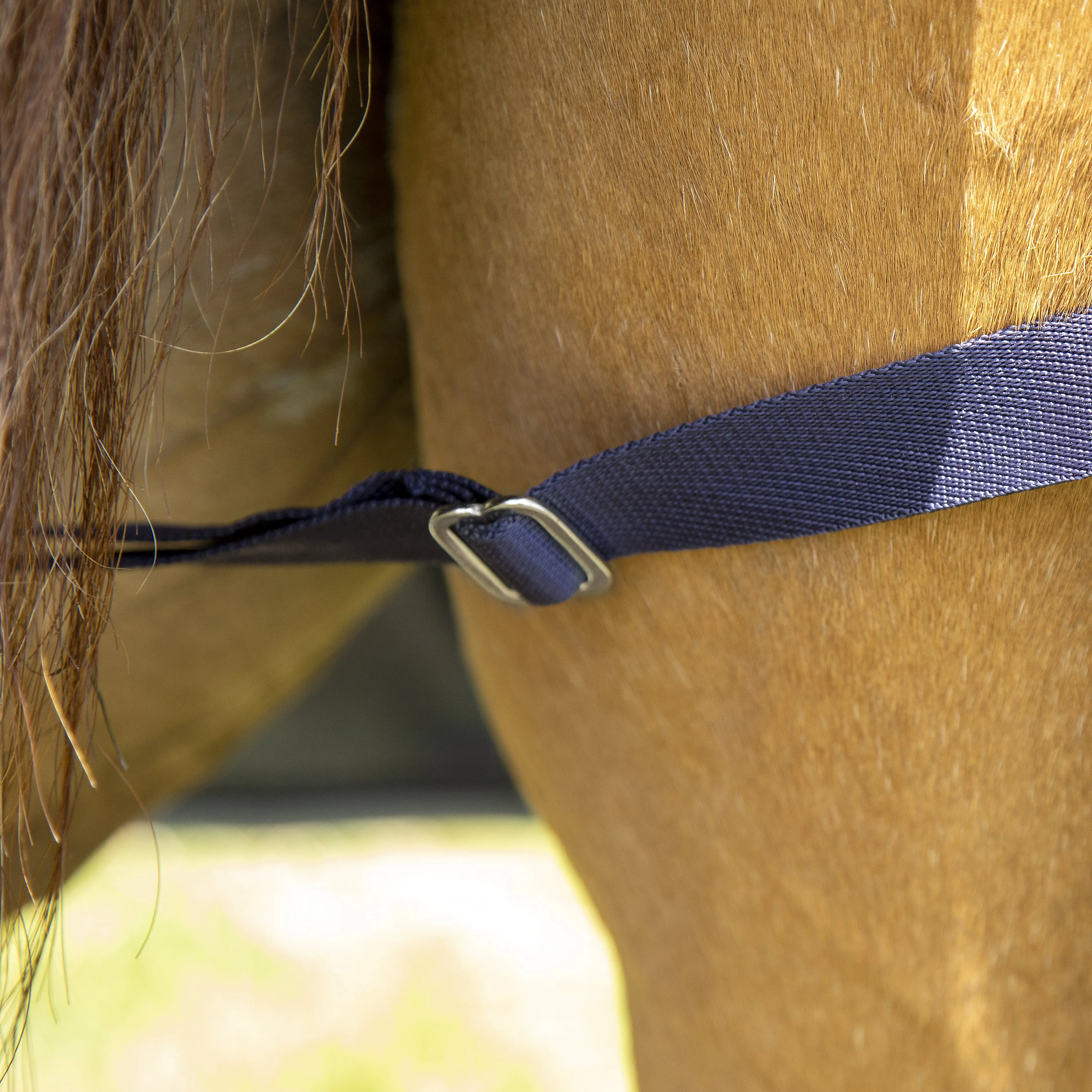 Metabug Waterproof Fly Combo Rug - 5'3" (63") - Image 8