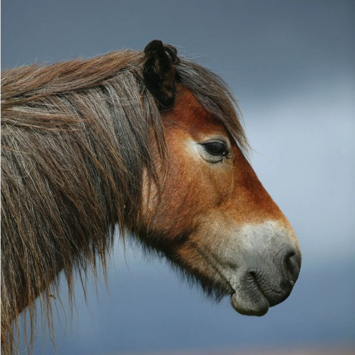 Noisy Greeting Cards - Image 9