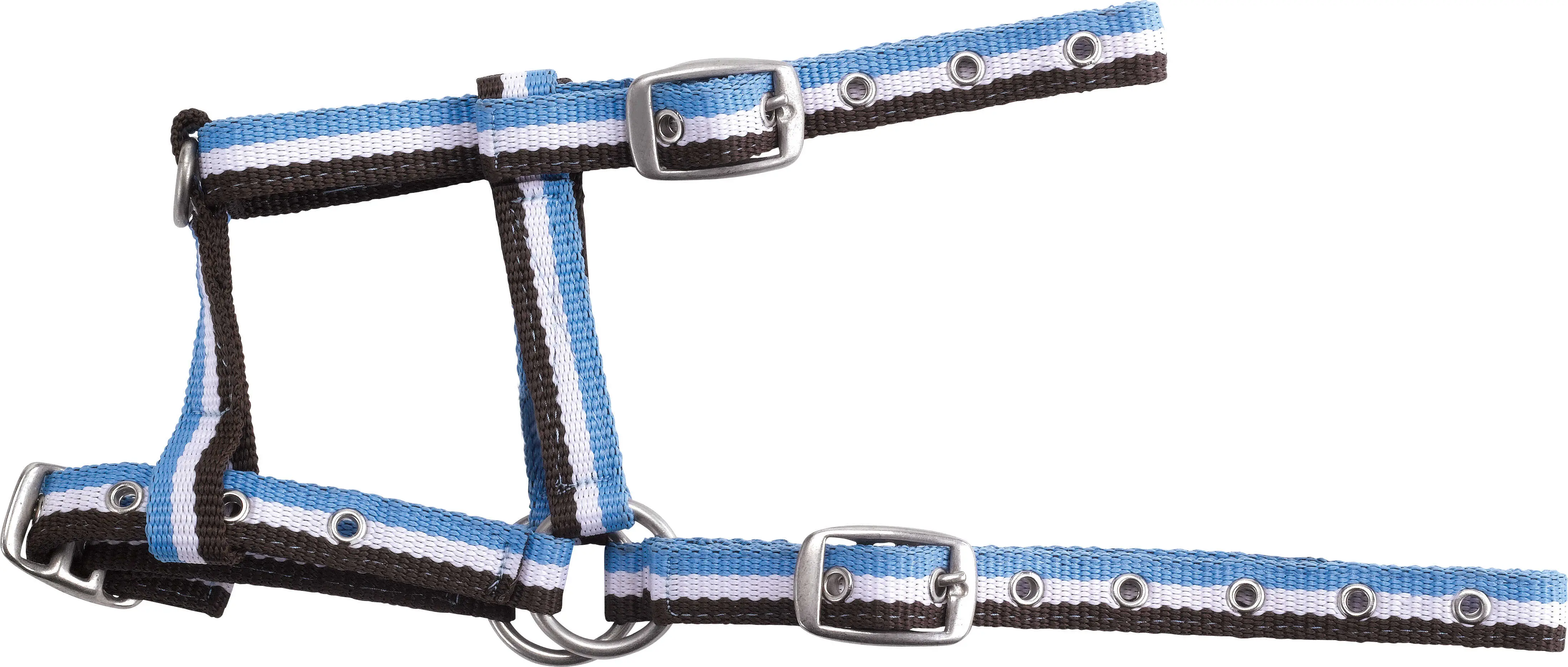 Norton Adjustable Foal Headcollar - Image 3