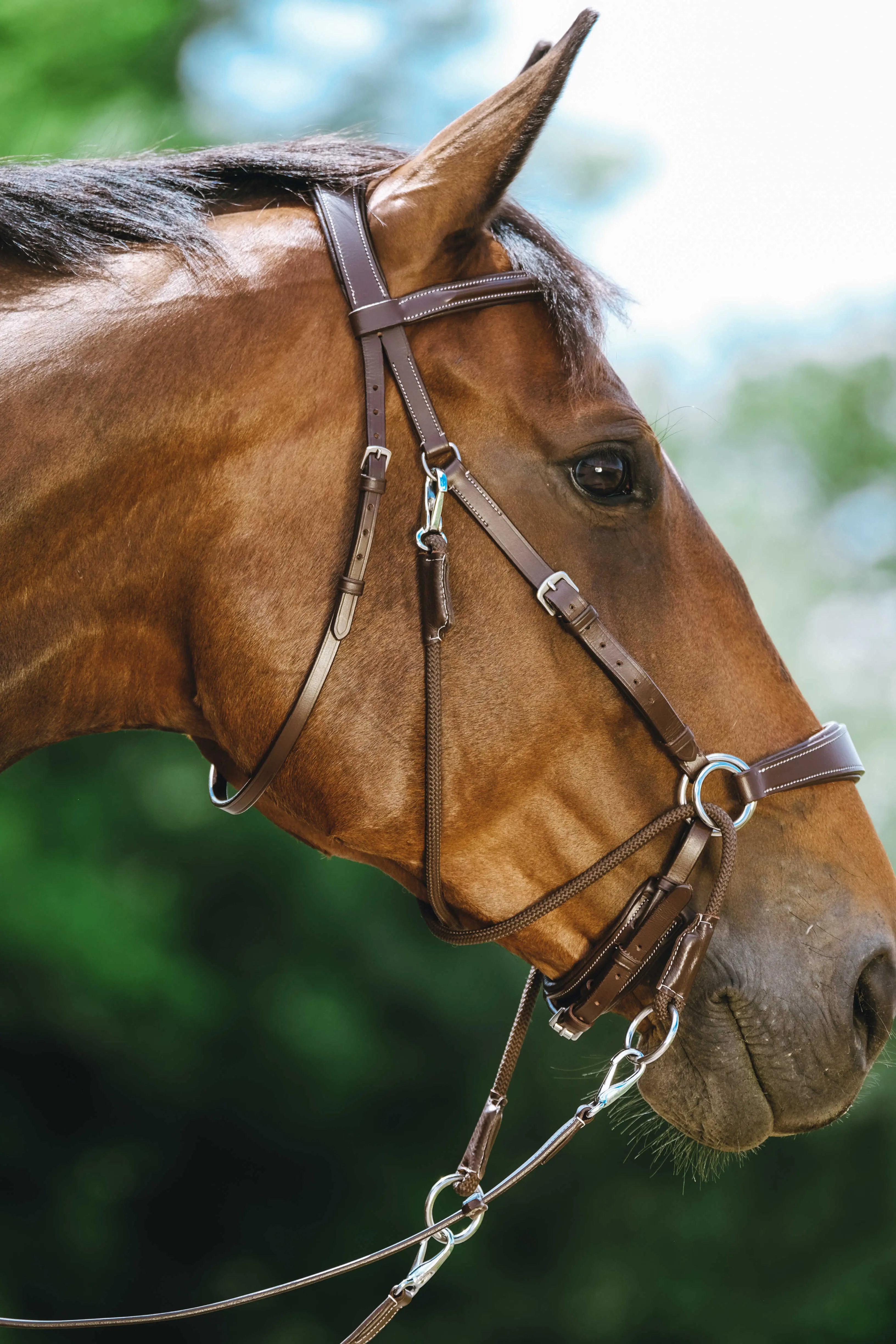 Norton Bridle Bitless - Image 4