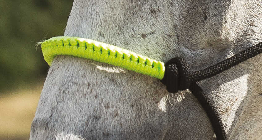 Norton Fun Colour Ethological Headcollar & Lead Rope - Image 7