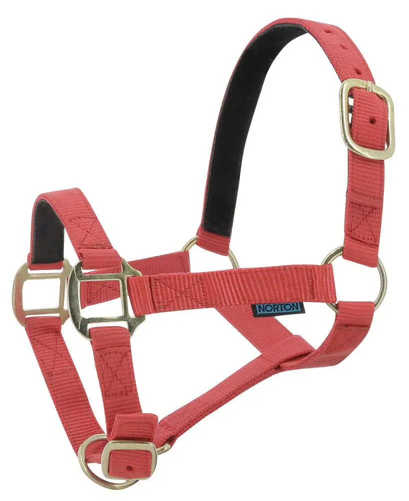 Norton Leather Lined Nylon Headcollar - Image 2