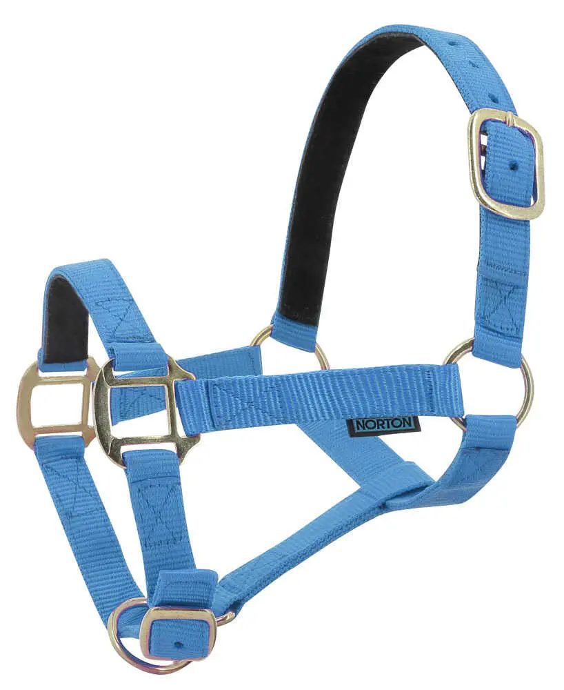 Norton Leather Lined Nylon Headcollar - Image 5