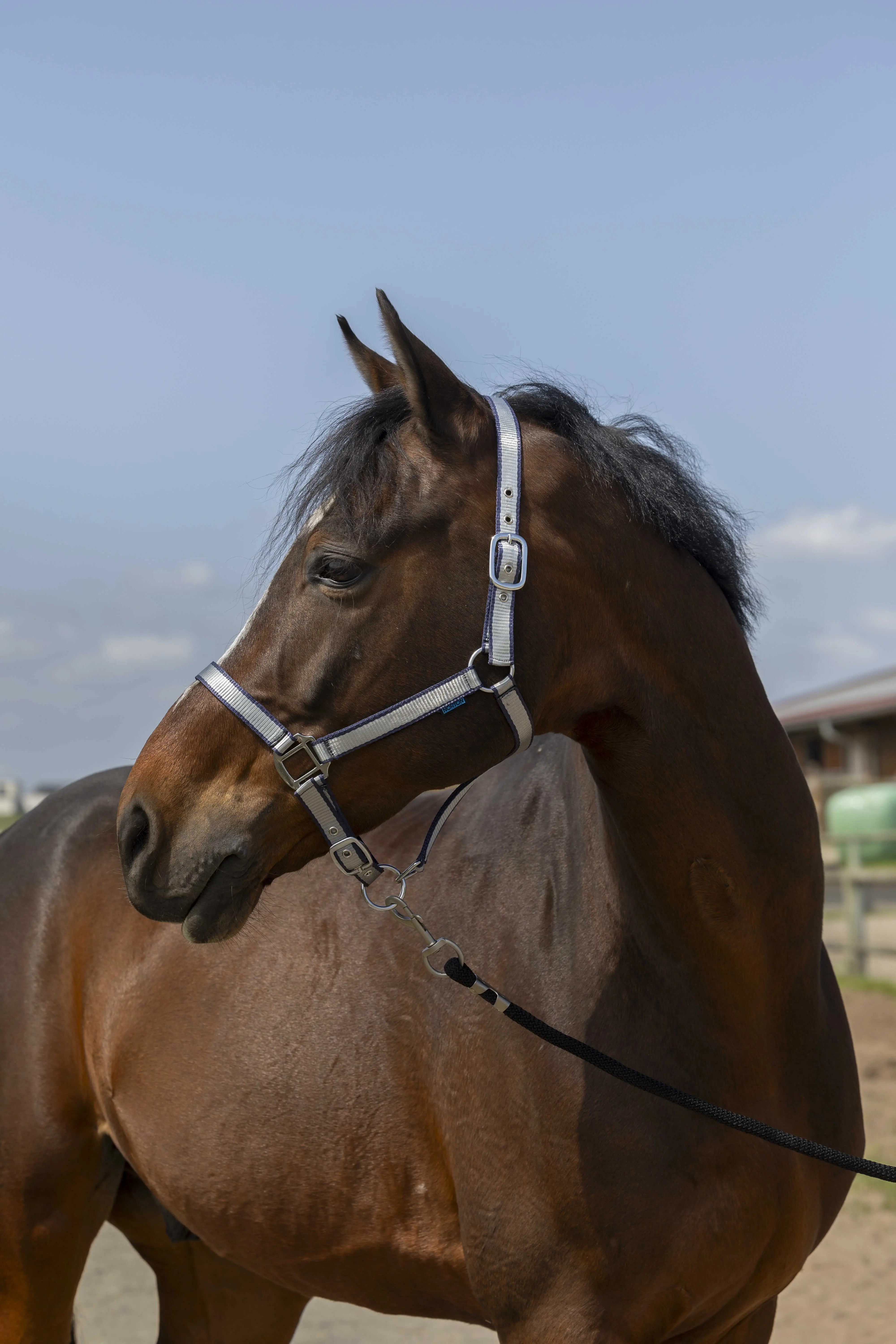 Norton Nylon Soft Headcollar - Image 4