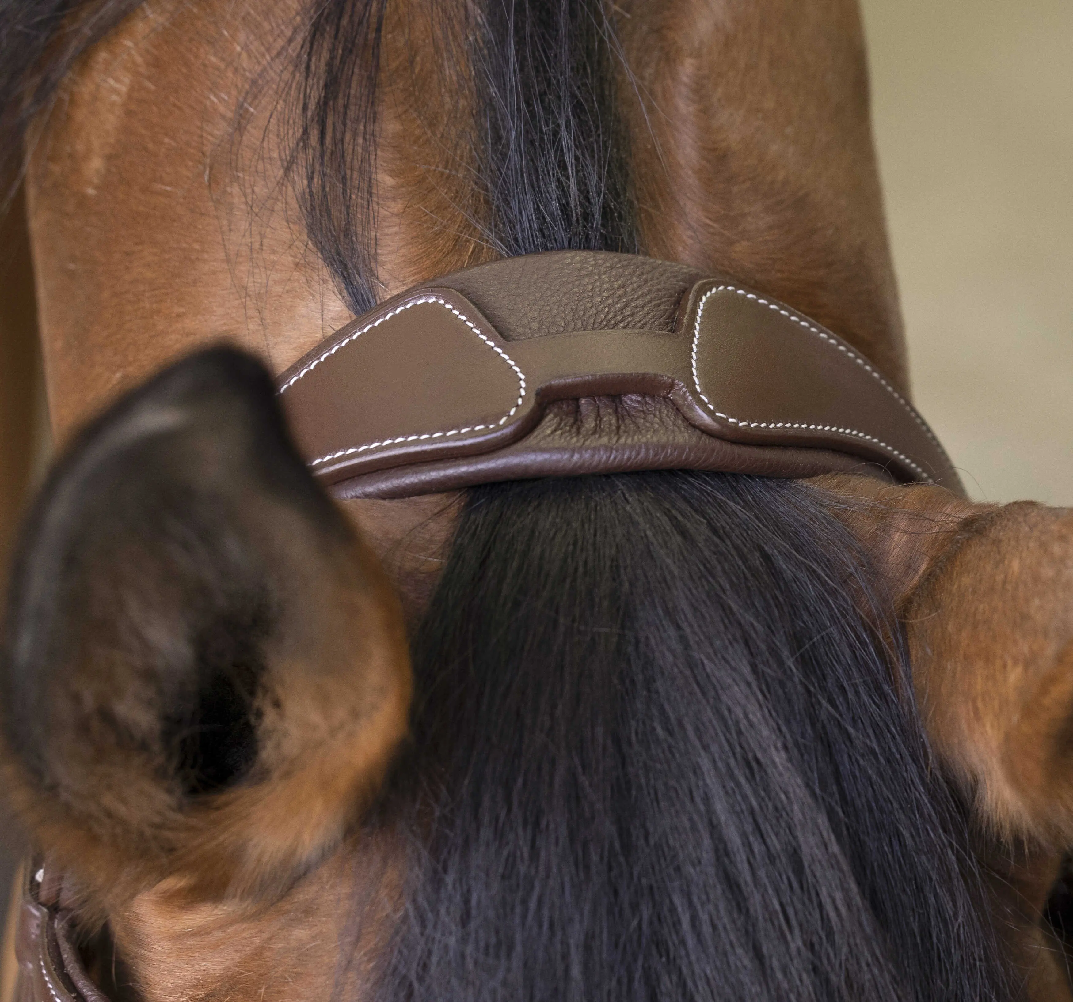 Norton Pro - Rock - Bridle - Image 6