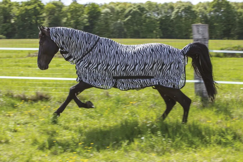 Riding World Combo Zebra Print Mesh Fly Rug - Image 3