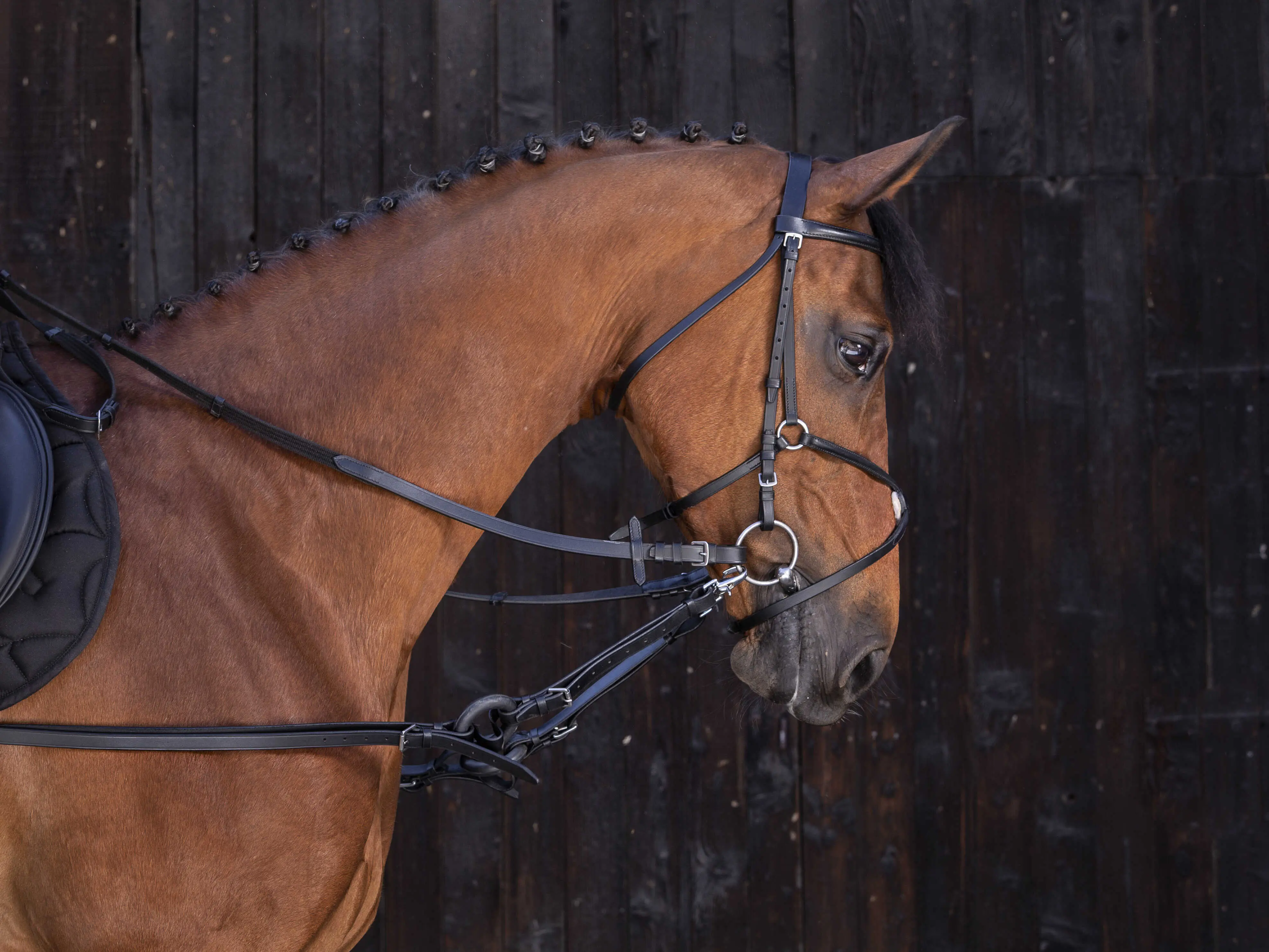 Riding World Rubber Side Reins - Image 2