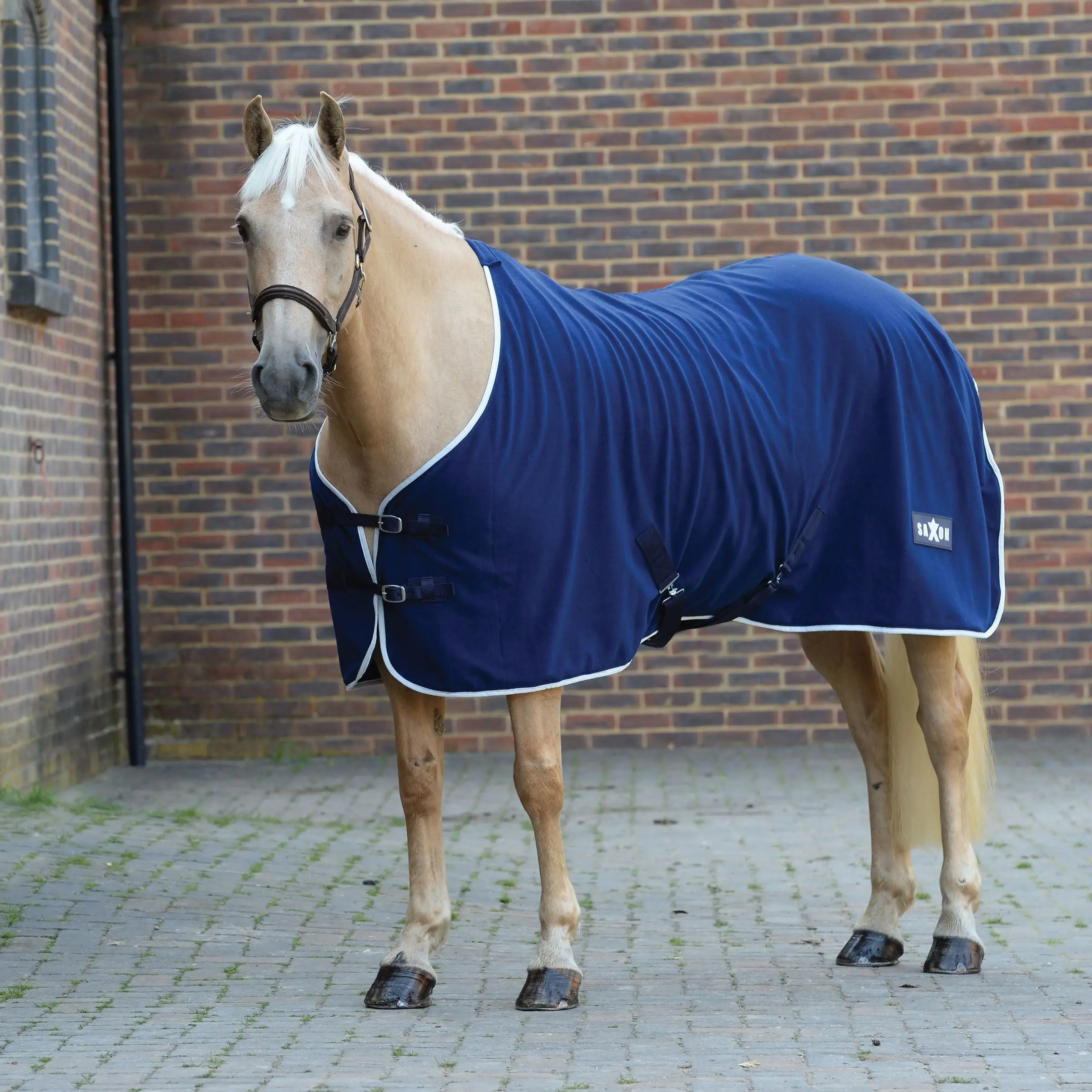 Saxon Defiant Fleece Standard Neck - Image 5