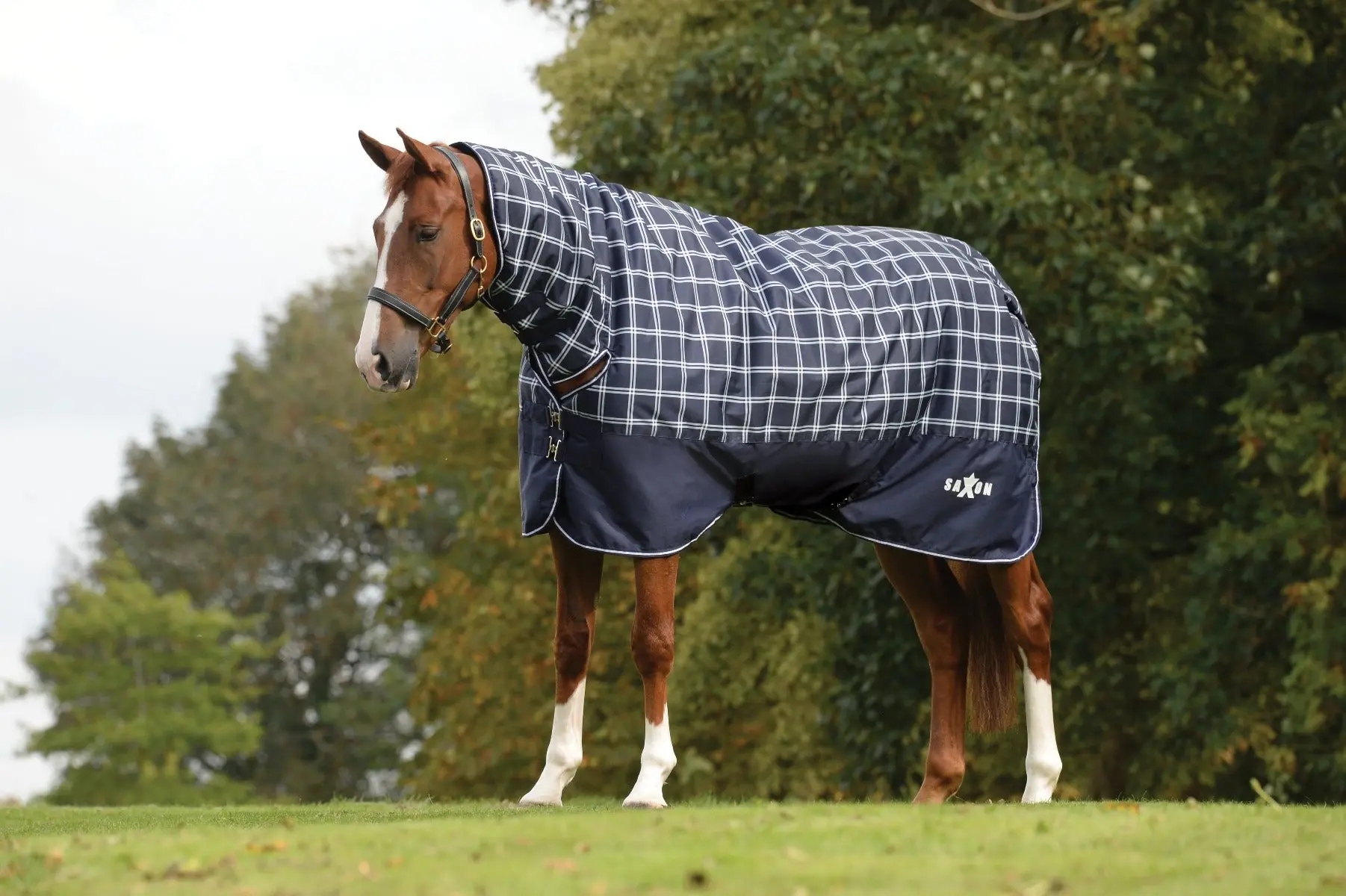 Saxon Defiant Navy Plaid 200g Combo Neck Mediumweight Turnout Rug