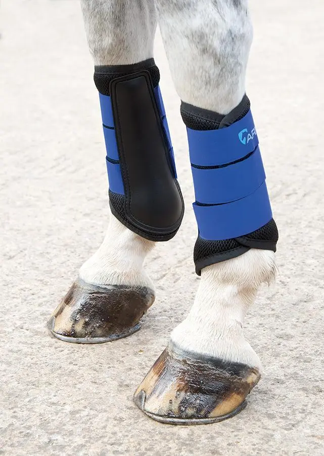 Shires ARMA Air Motion Royal Blue Brushing Boots