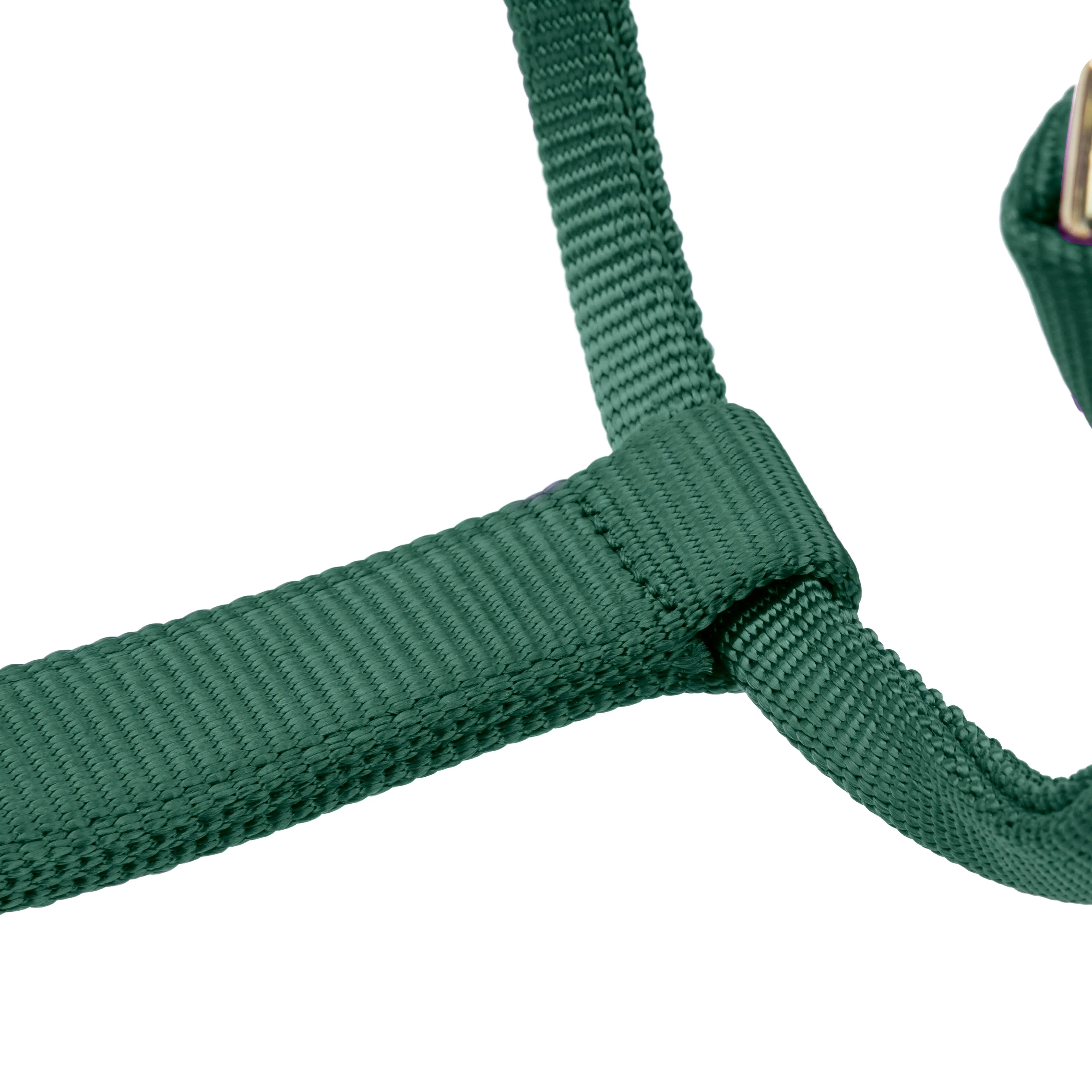 Shires ARMA Premium Adjustable FieldSafe Headcollar Hunter - Image 5