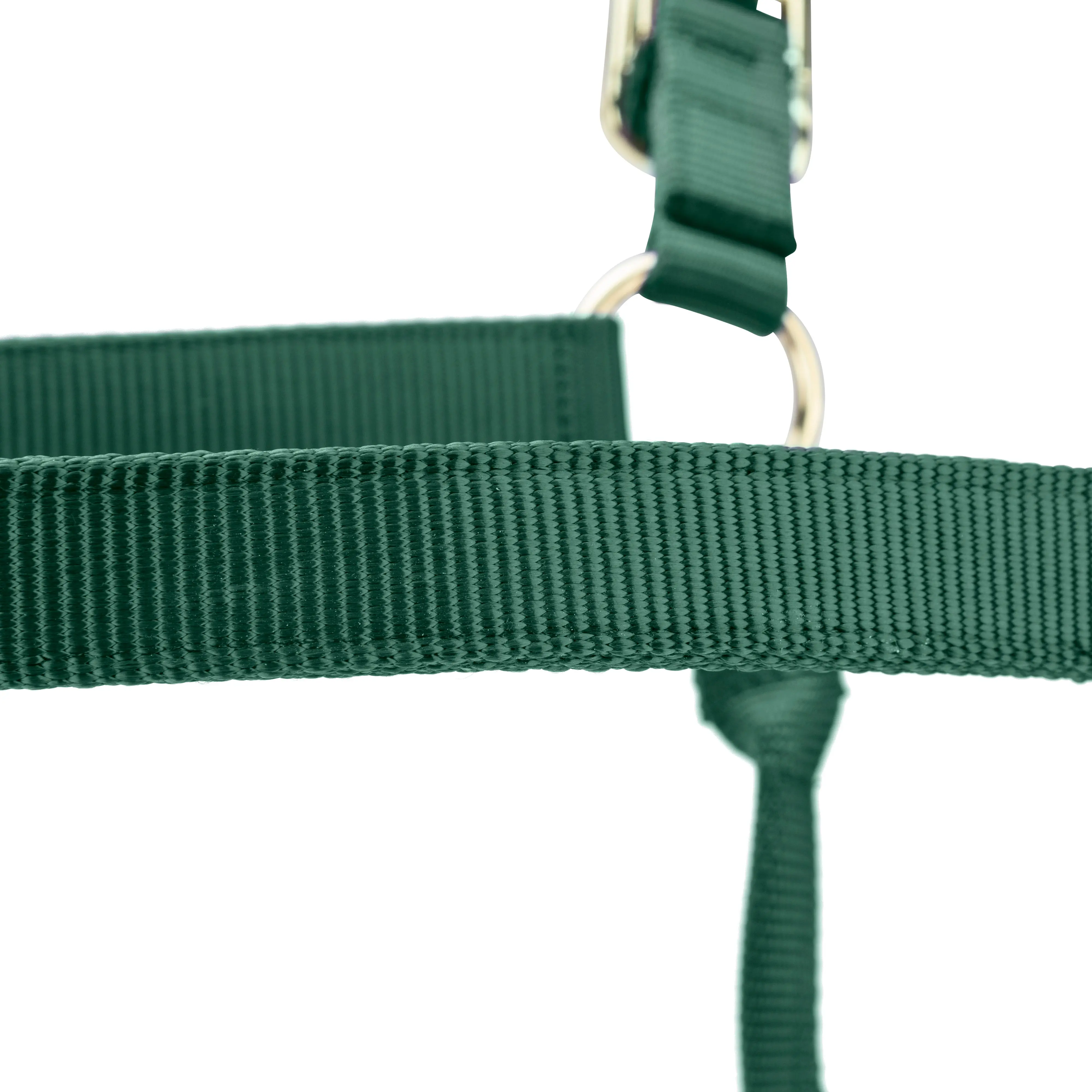 Shires ARMA Premium Adjustable FieldSafe Headcollar Hunter - Image 7