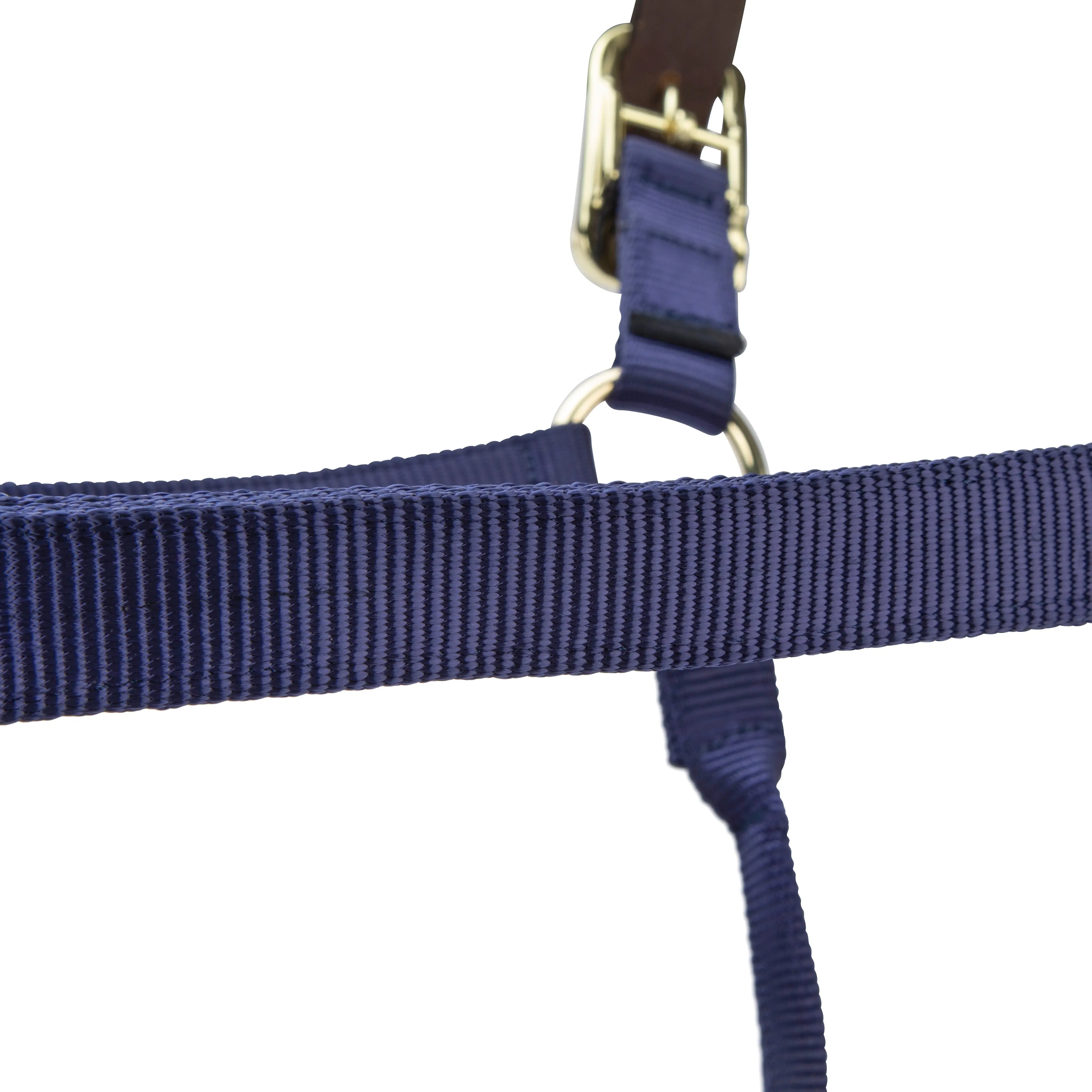 Shires ARMA Premium Adjustable FieldSafe Headcollar Navy - Image 9