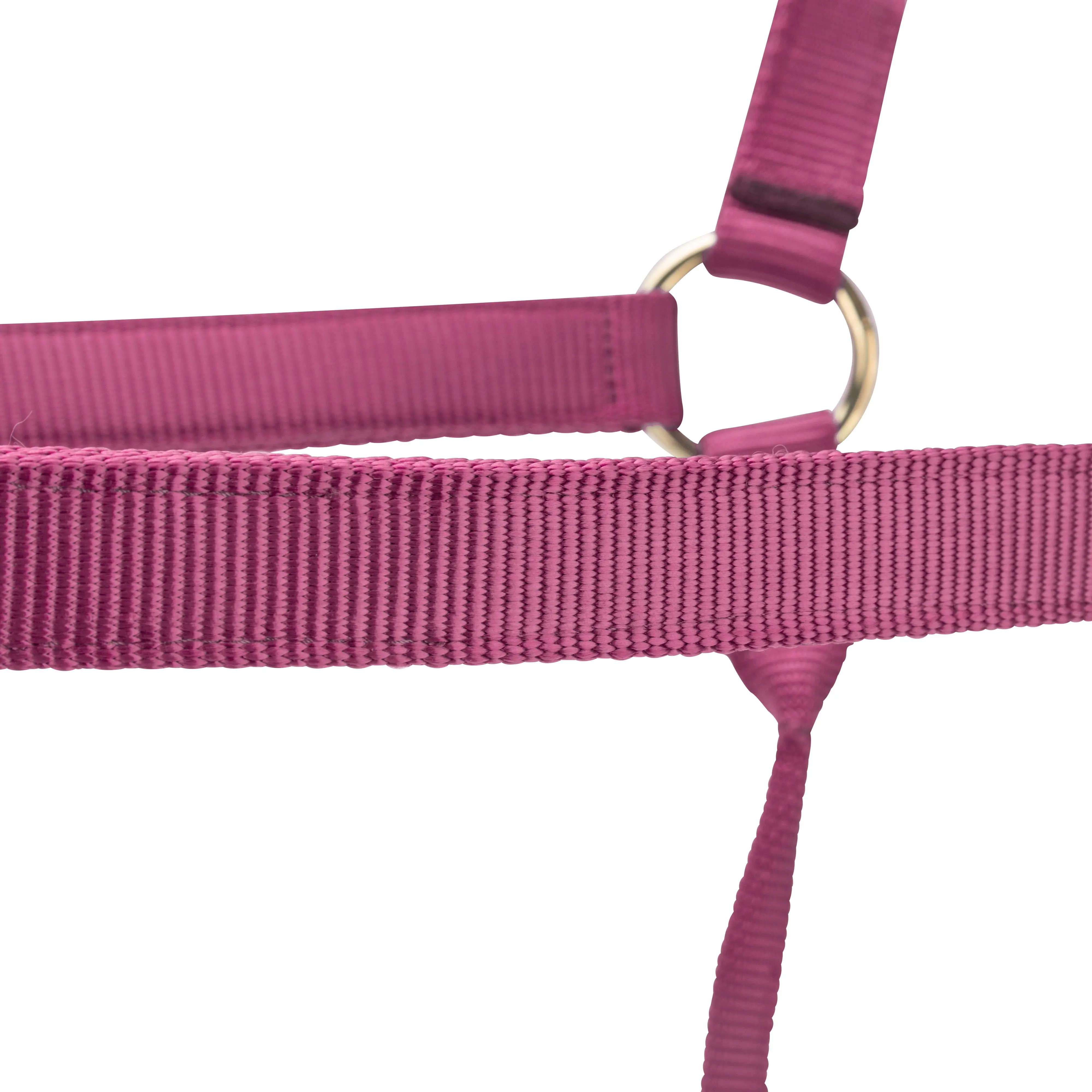 Shires ARMA Premium Adjustable Headcollar Burgundy - Image 5