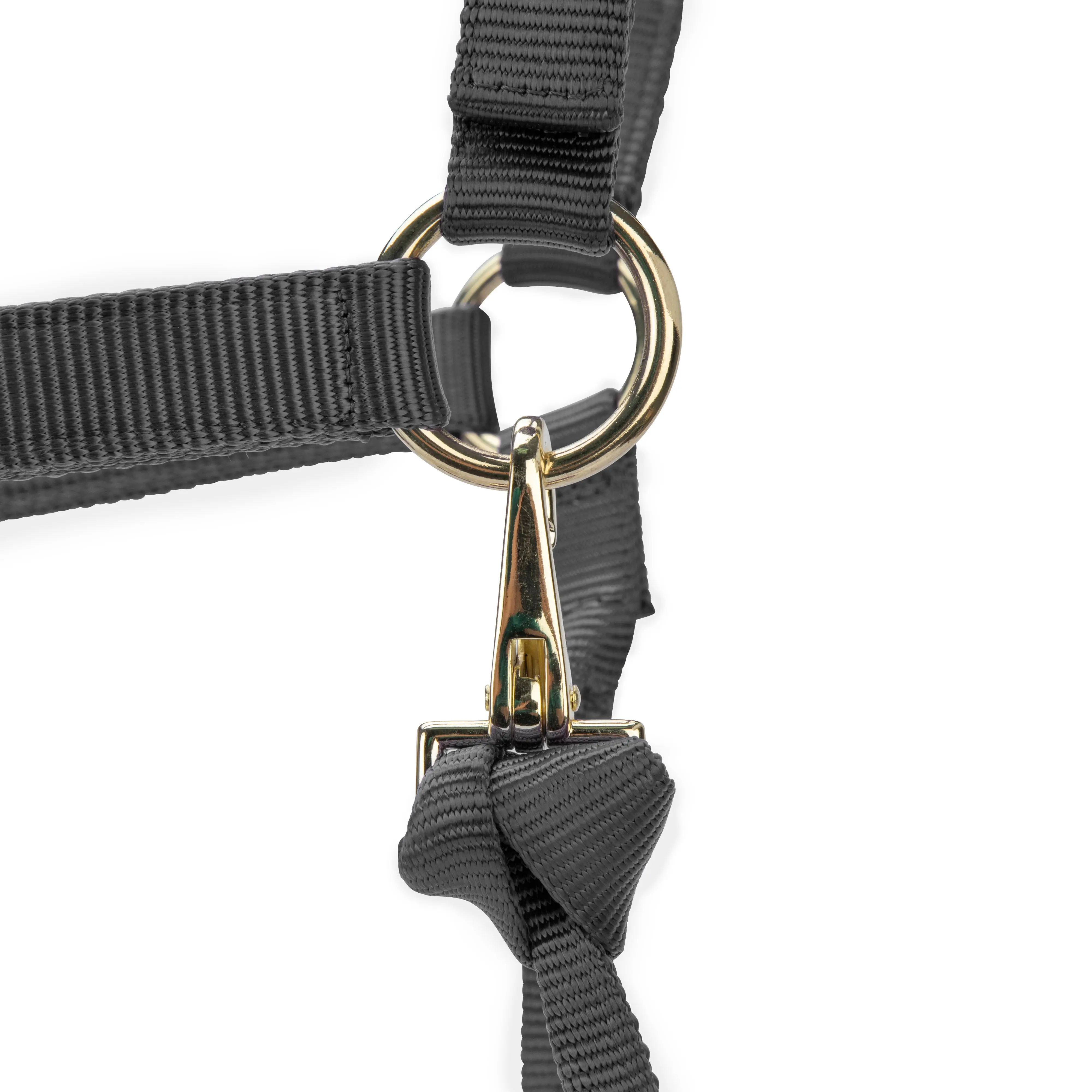 Shires ARMA Premium Adjustable Headcollar Grey - Image 2