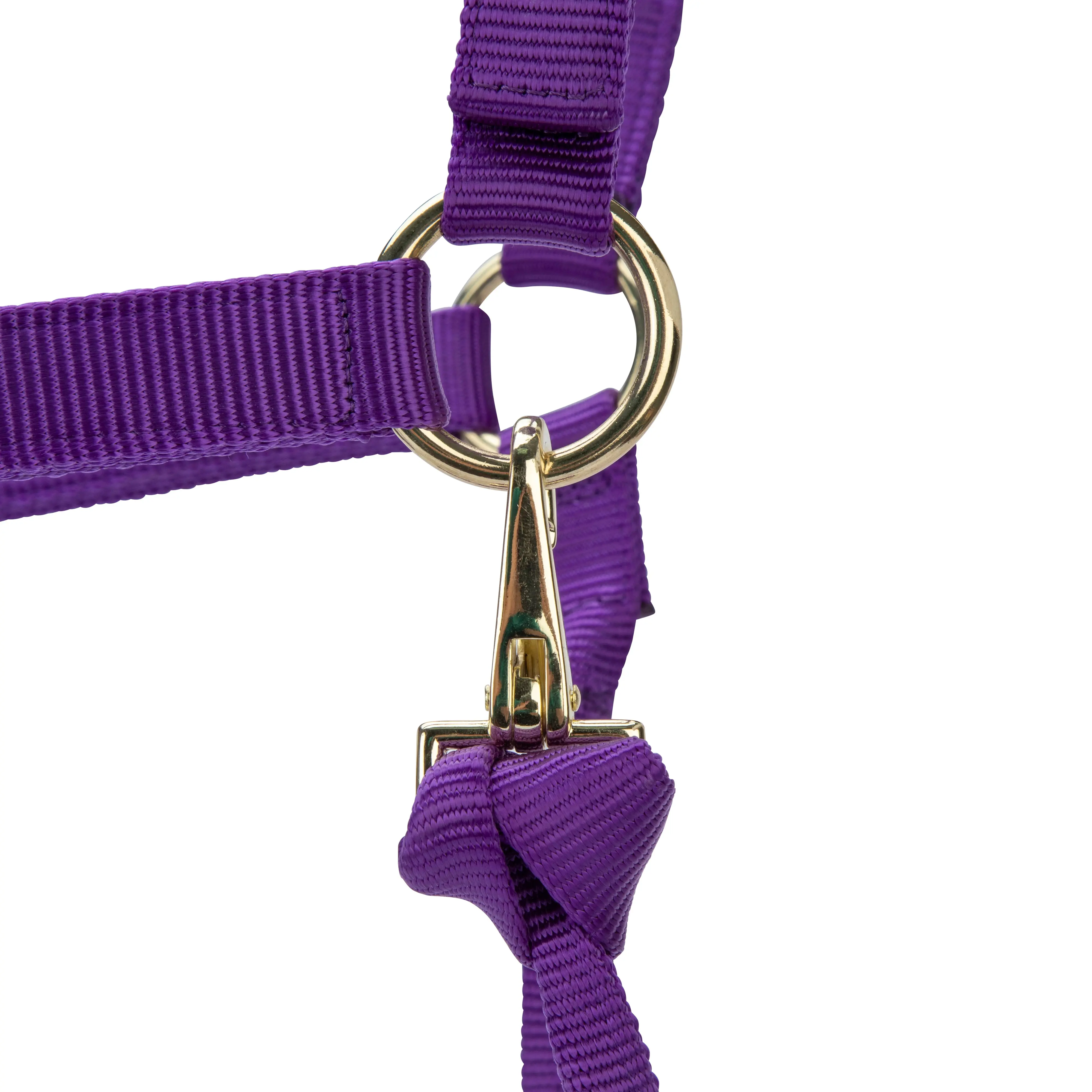 Shires ARMA Premium Adjustable Headcollar Purple - Image 2