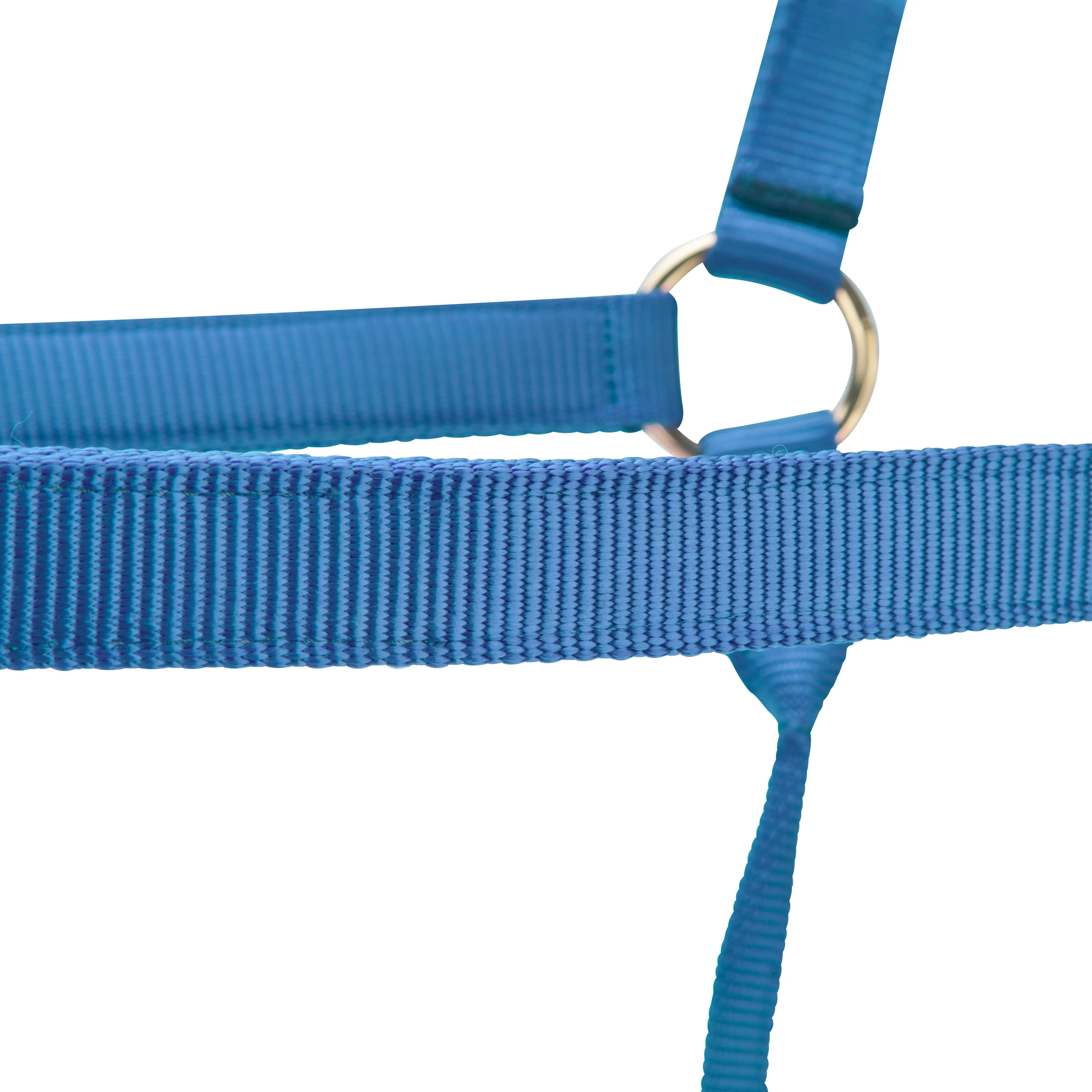 Shires ARMA Premium Adjustable Headcollar Royal - Image 4