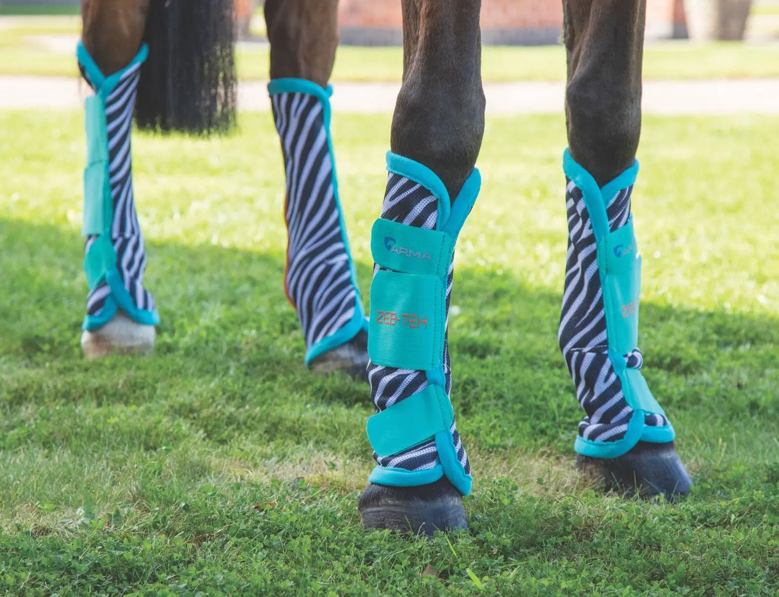Shires ARMA Zeb-Tek Fly Turnout Socks - Image 3