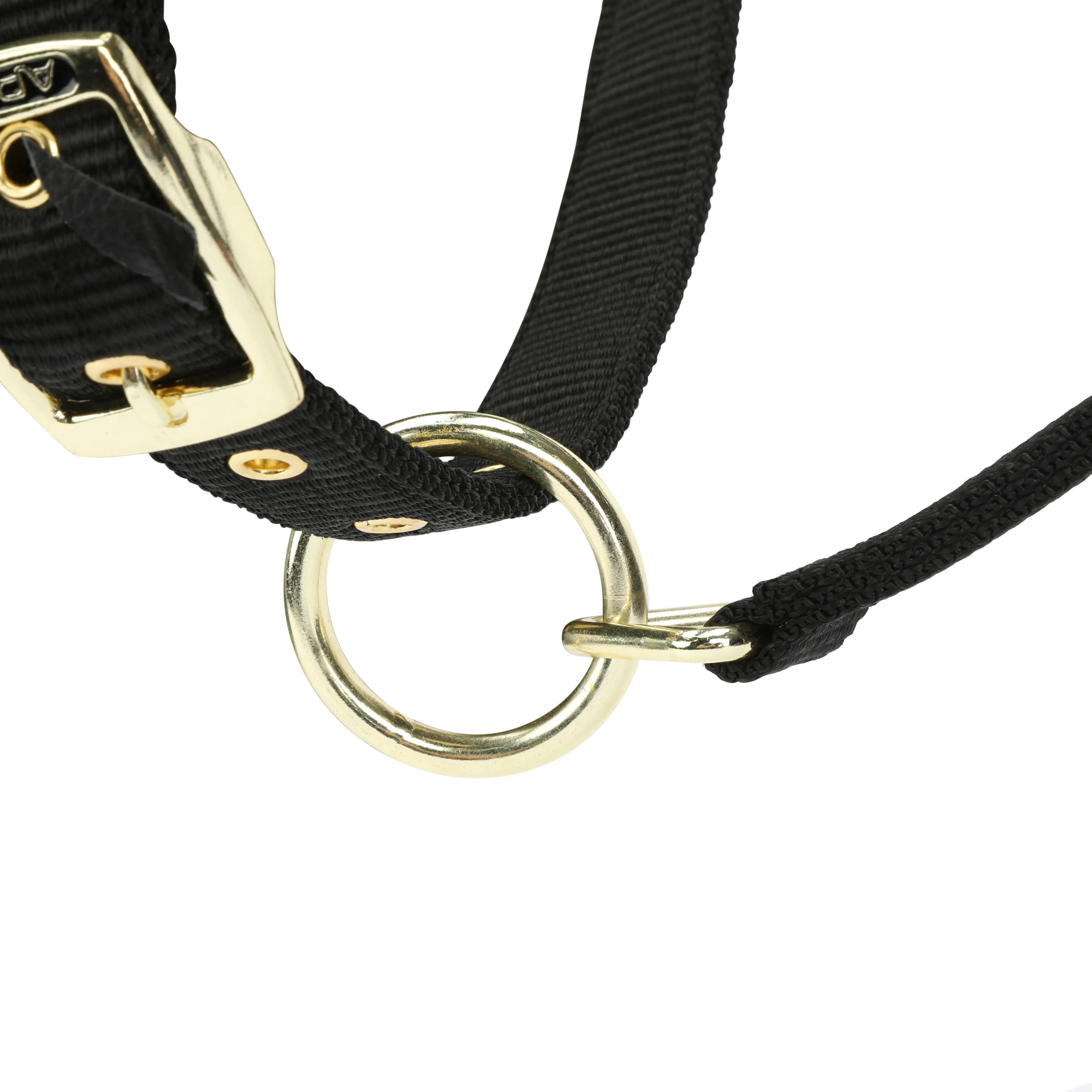 Shires Black ARMA Padded Headcollar - Image 6