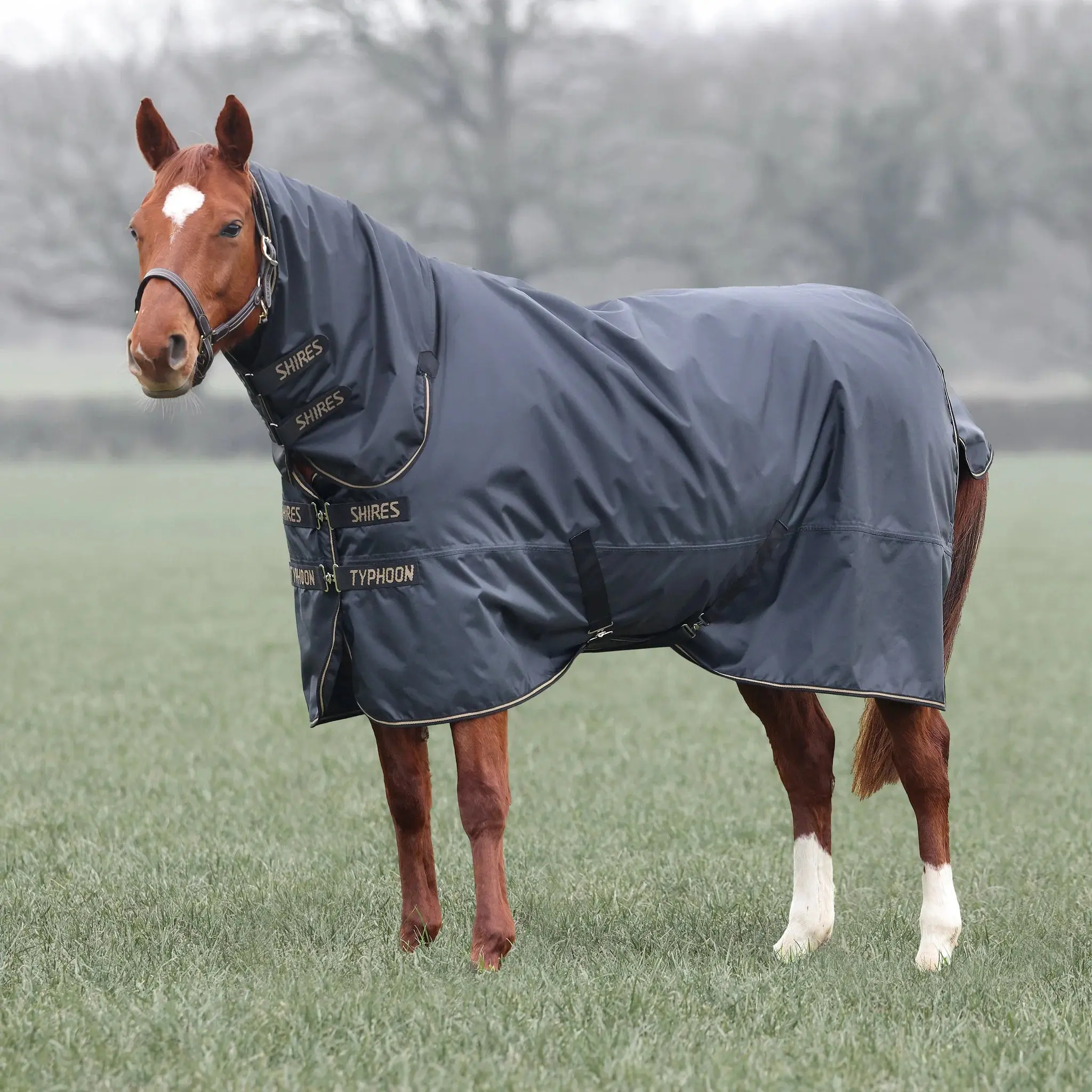 Shires Black Typhoon 50g Combo Turnout Rug - Image 7