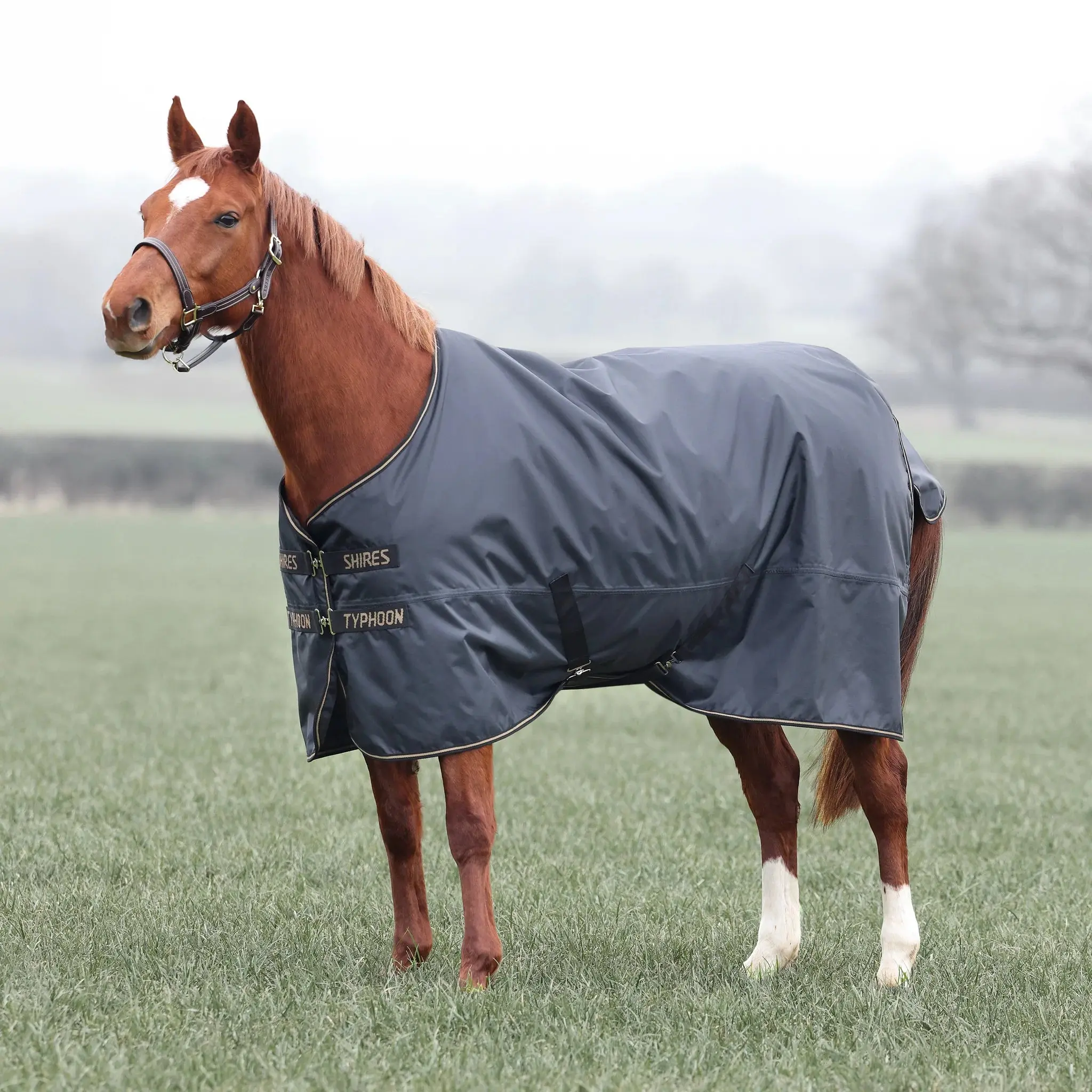 Shires Black Typhoon 50g Turnout Rug - Image 2