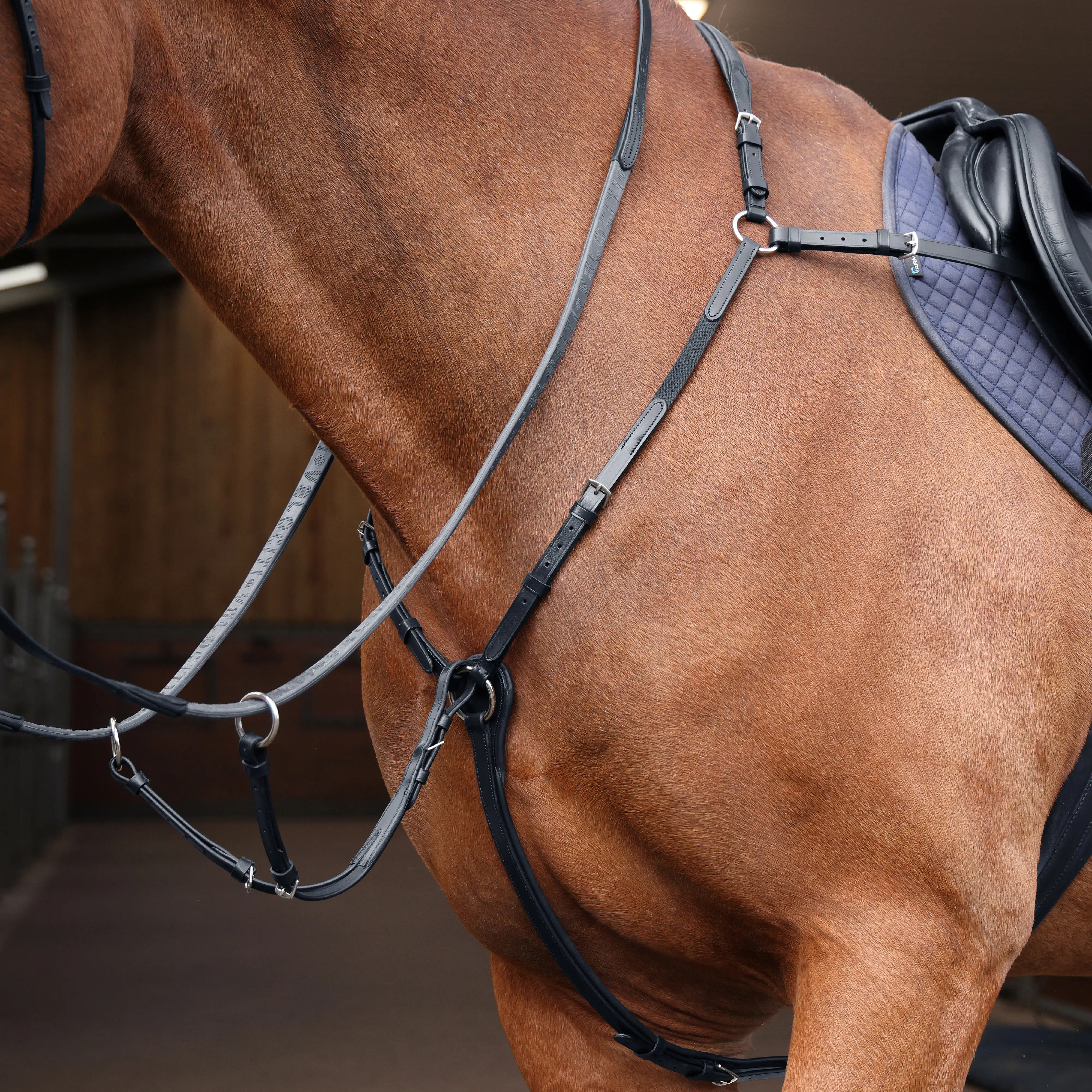 Shires Black Velociti Rapida Elastic Breastplate