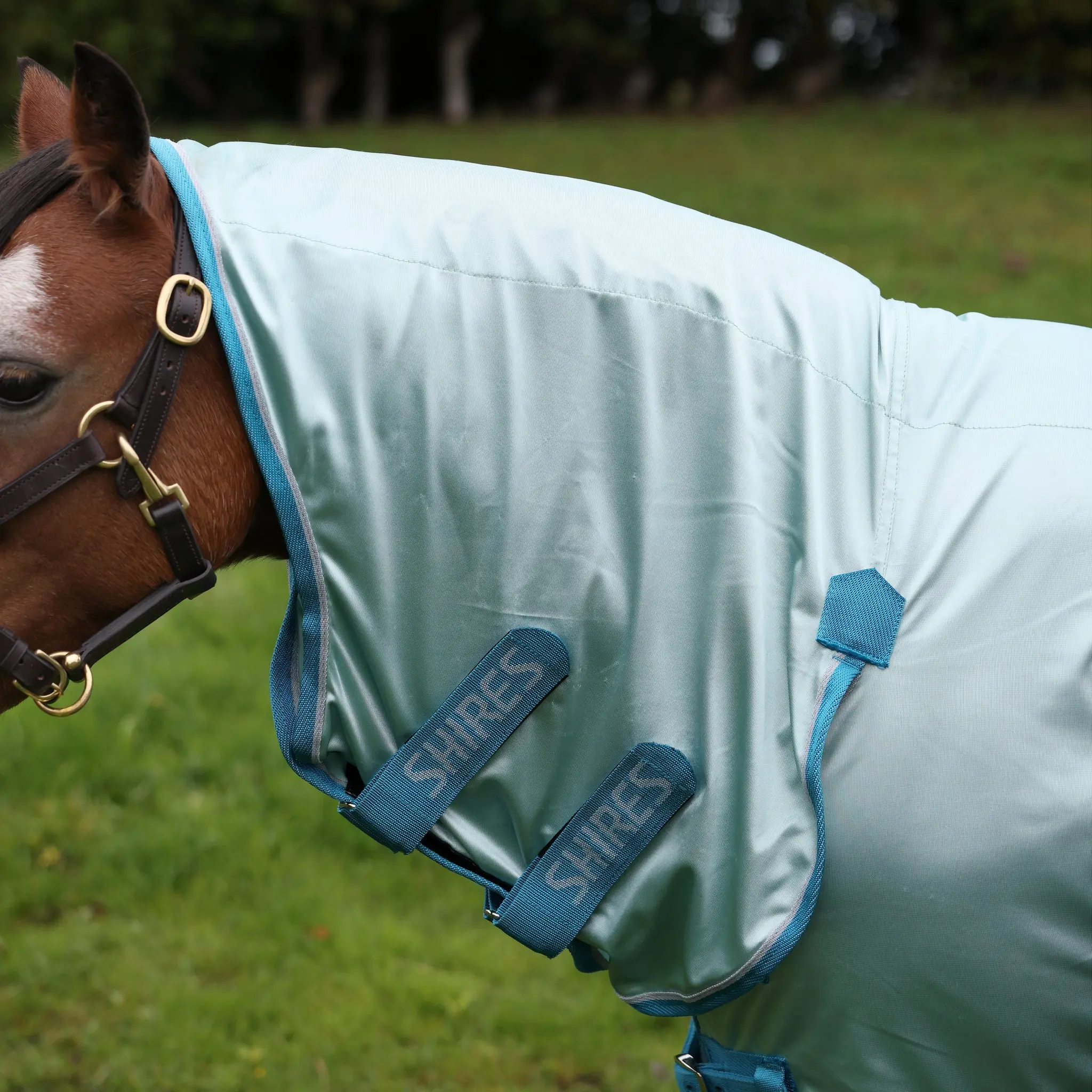 Shires Blue Winnie & Me Fly Combo Rug - Image 2