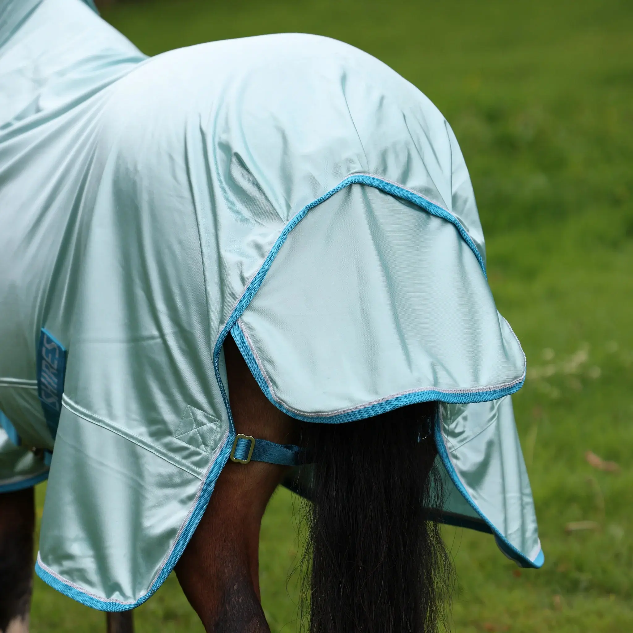 Shires Blue Winnie & Me Fly Combo Rug - Image 6
