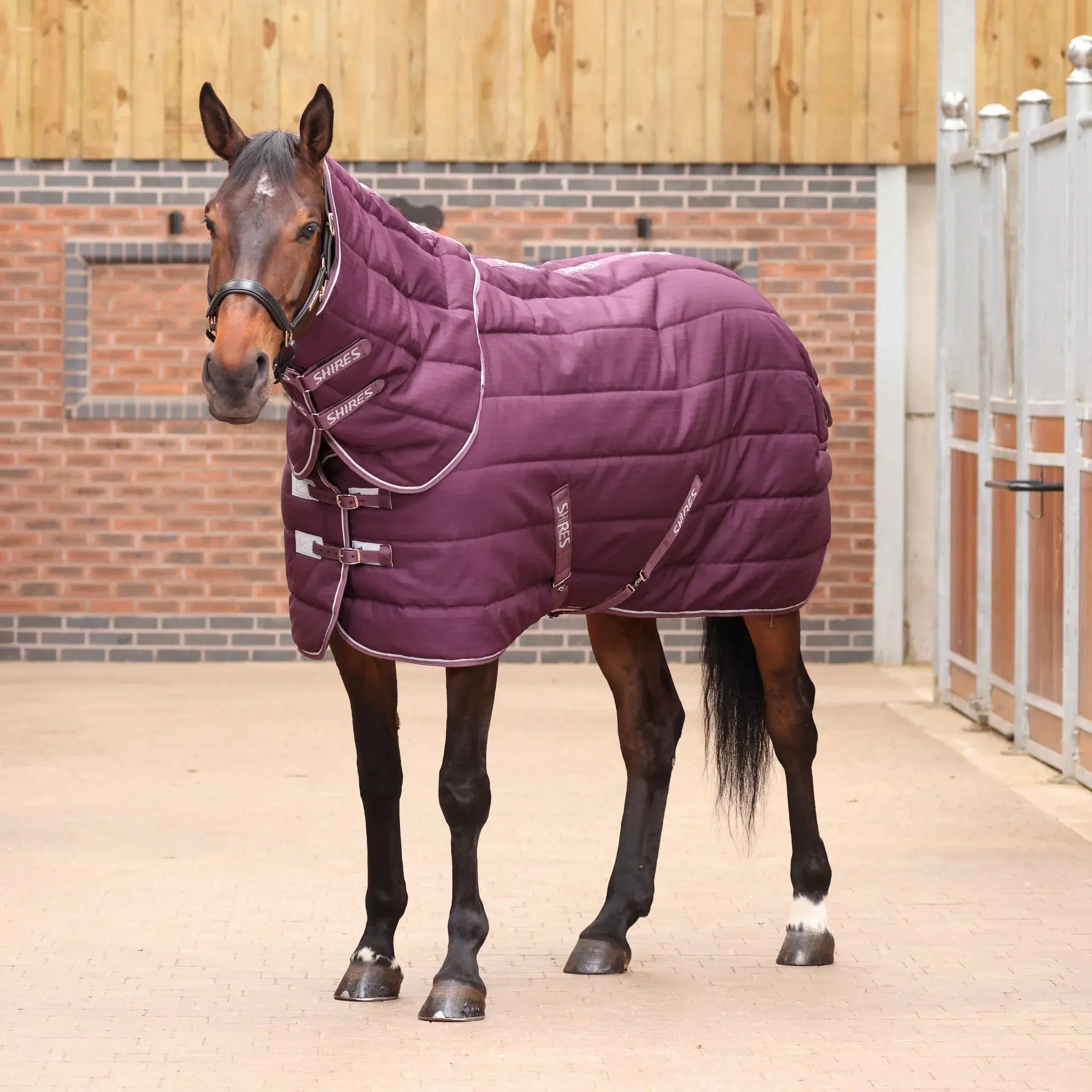 Shires Burgundy Tempest Original 300g Stable Rug & Neck Set